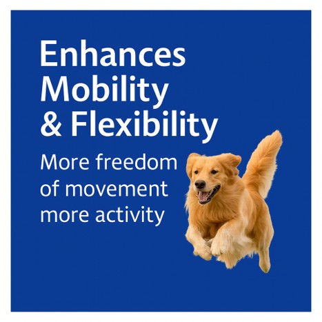 Cartiflex Joint Mobility Support Capsules for Dogs 300mg 56 Pack