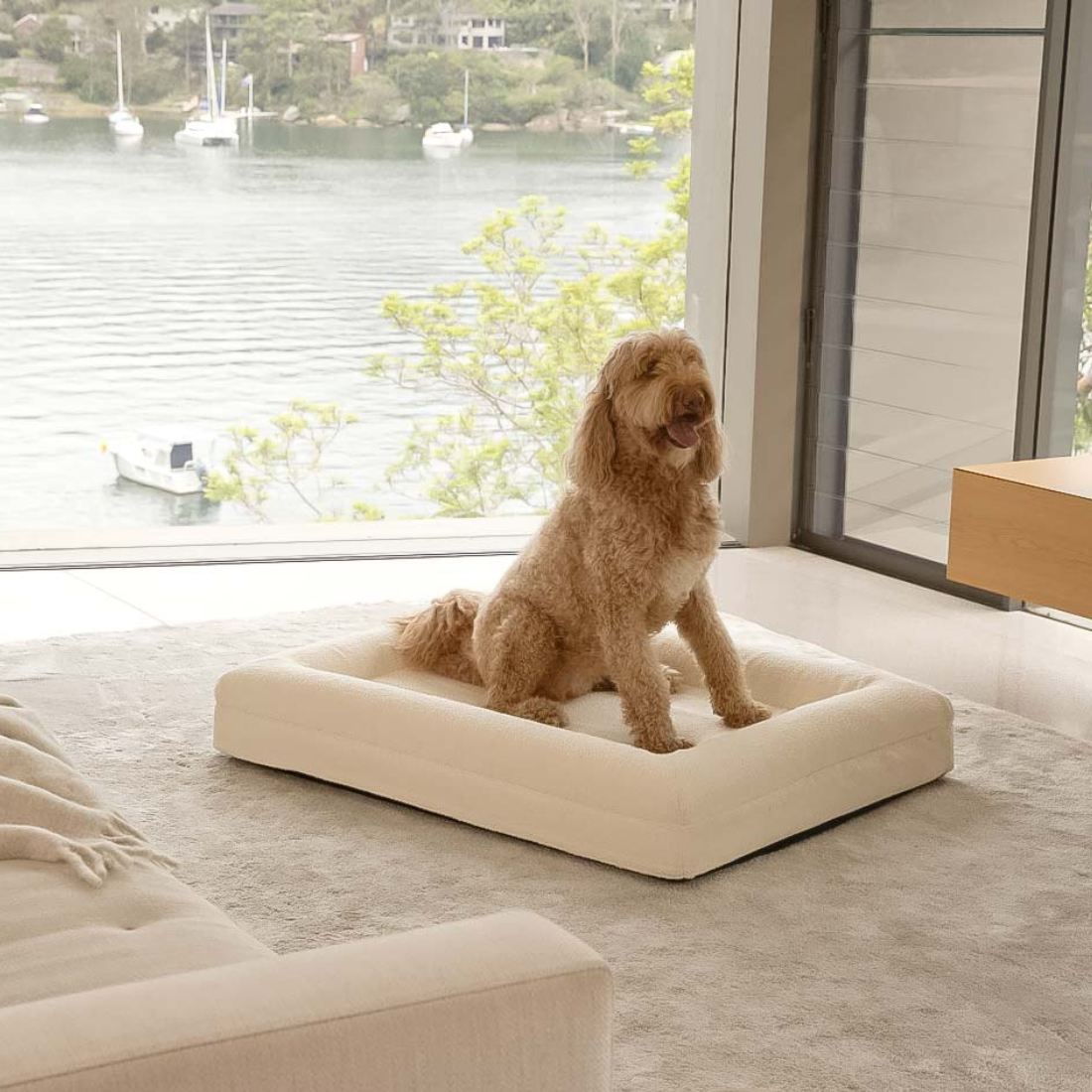 Milliard dog bed online