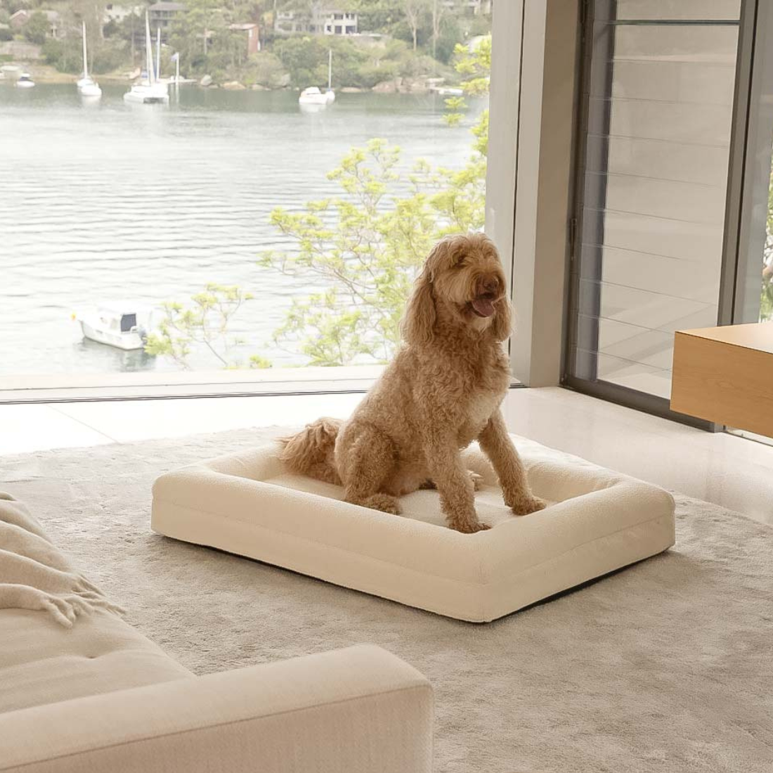 Dazy Dog Orthopaedic Memory Foam Dog Bed Ivory Boucle