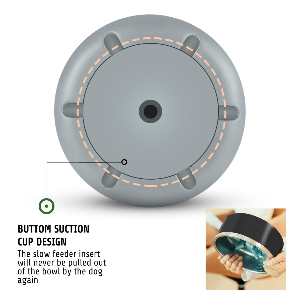 bowlmates slow feeder insert