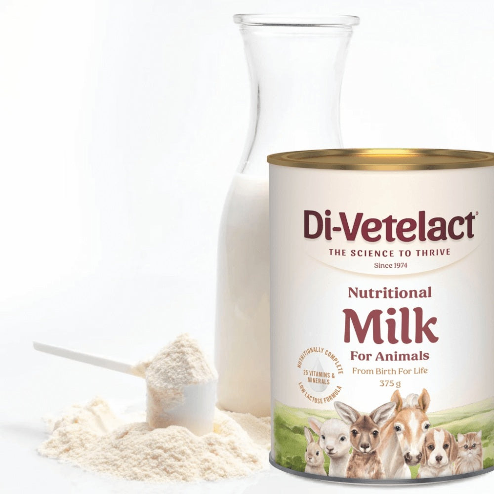 Di-Vetelact Milk Supplement for Animals