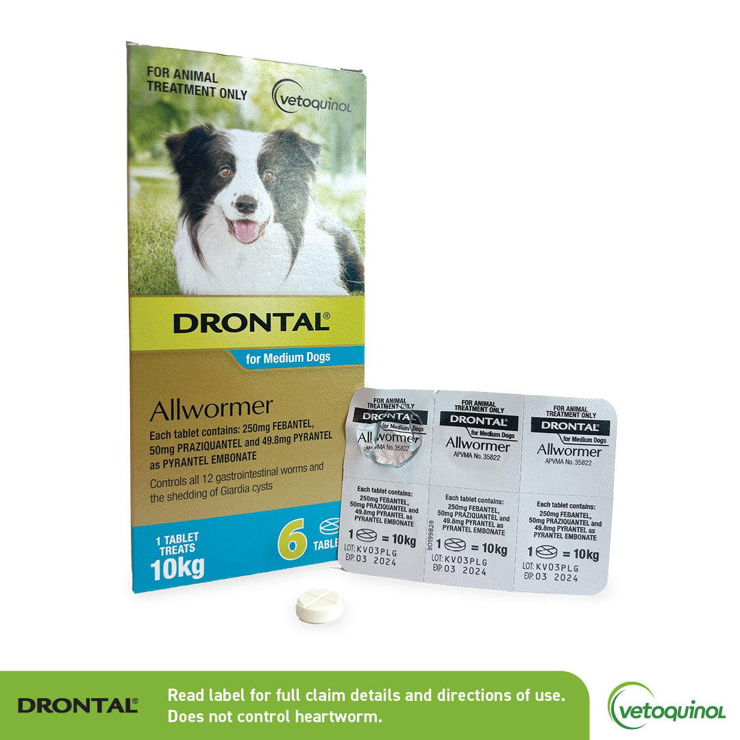 Drontal all wormer dogs best sale