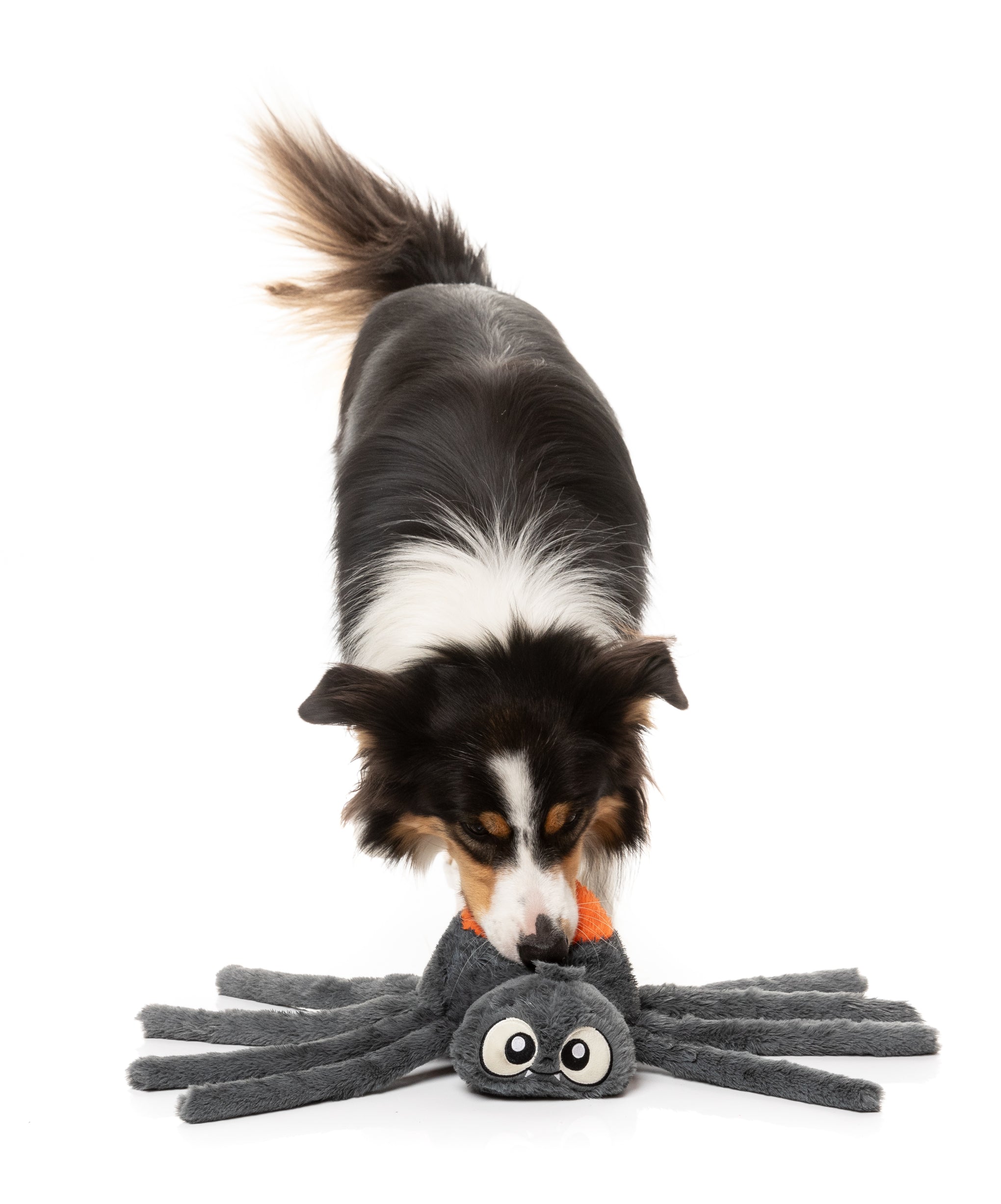FuzzYard Arachnate The Spider Dog Toy