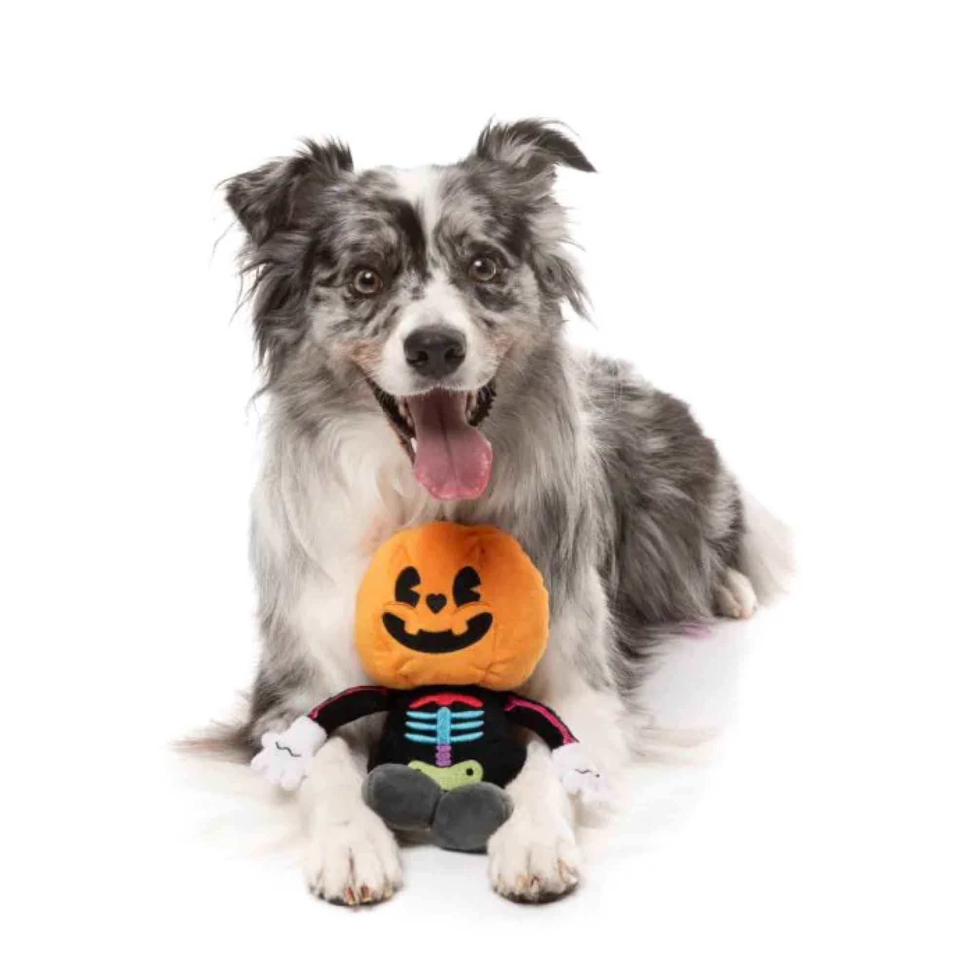 FuzzYard Boo-Ternut Dog Toy