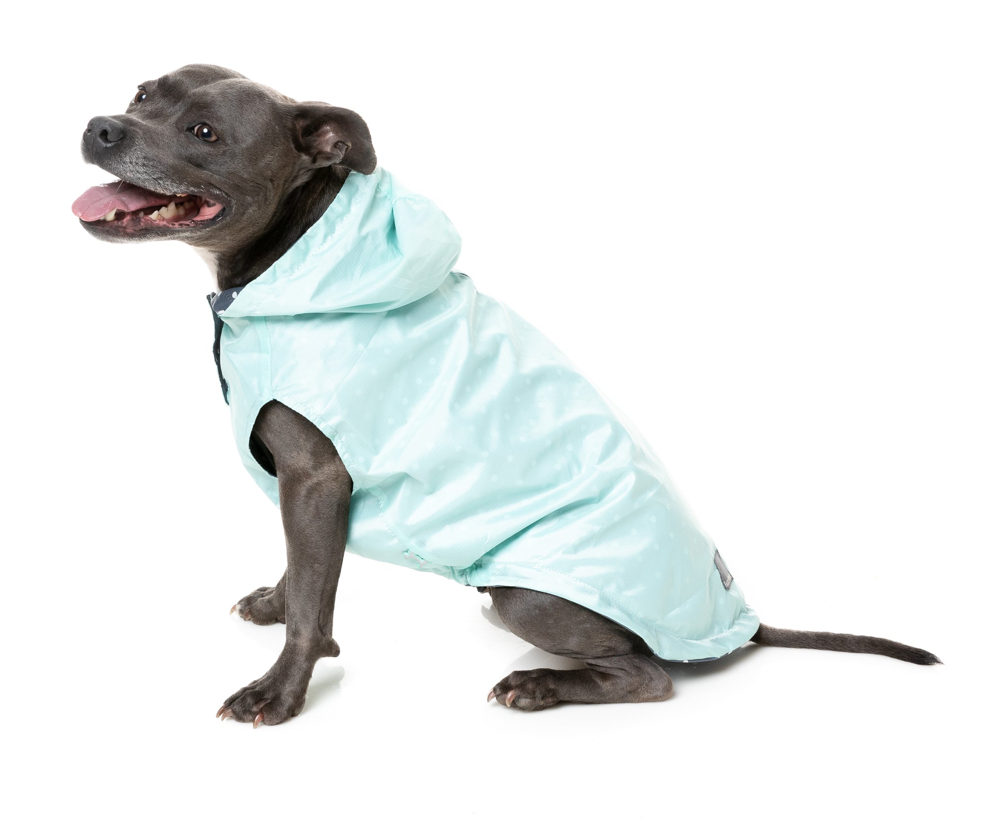 FuzzYard Flipside Dog Raincoat Mint