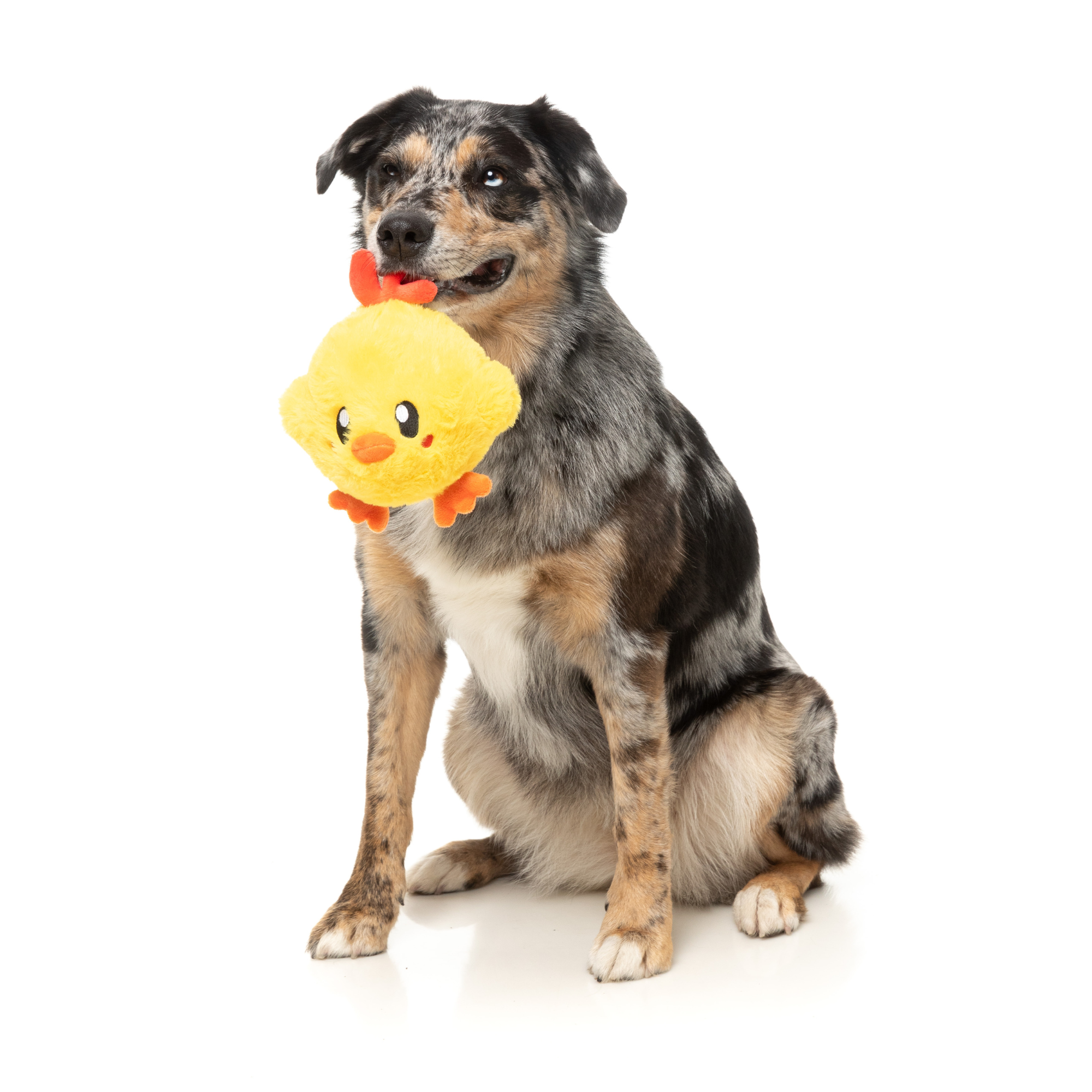 FuzzYard Hen-rietta Dog Toy