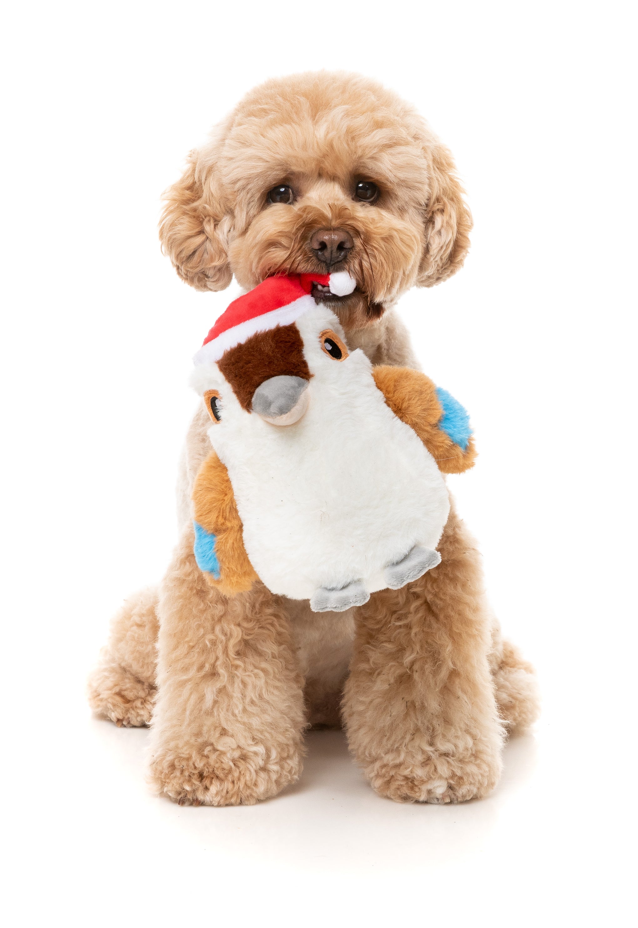 FuzzYard Ka-Tree-Na Kookaburra Dog Toy