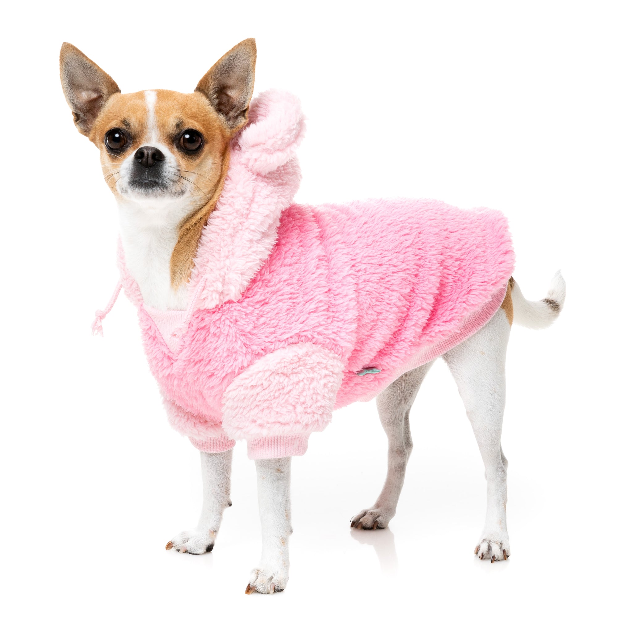 FuzzYard Winnie Dog Hoodie Pink