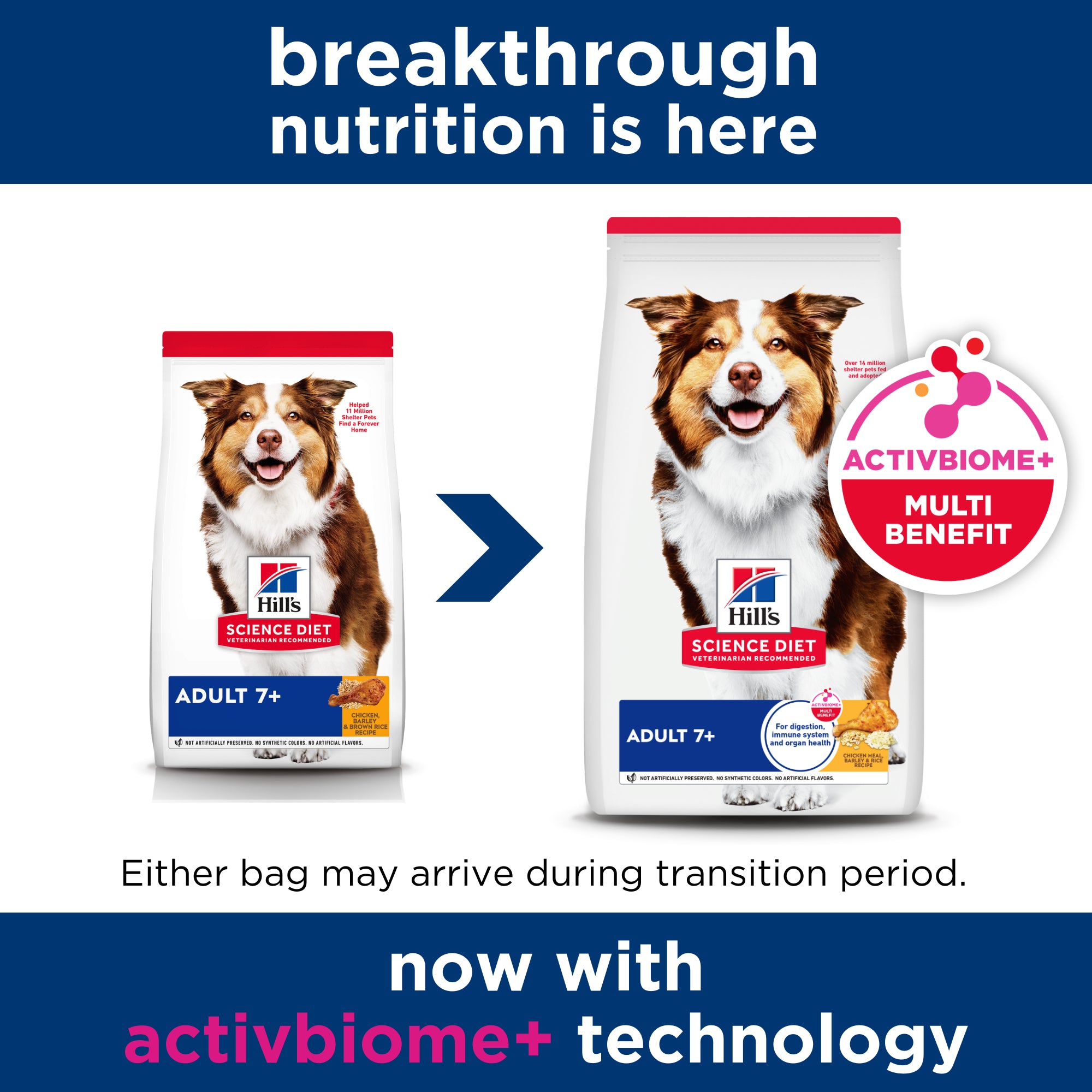 Hill's Science Diet Adult 7+ Senior Dry Dog Food