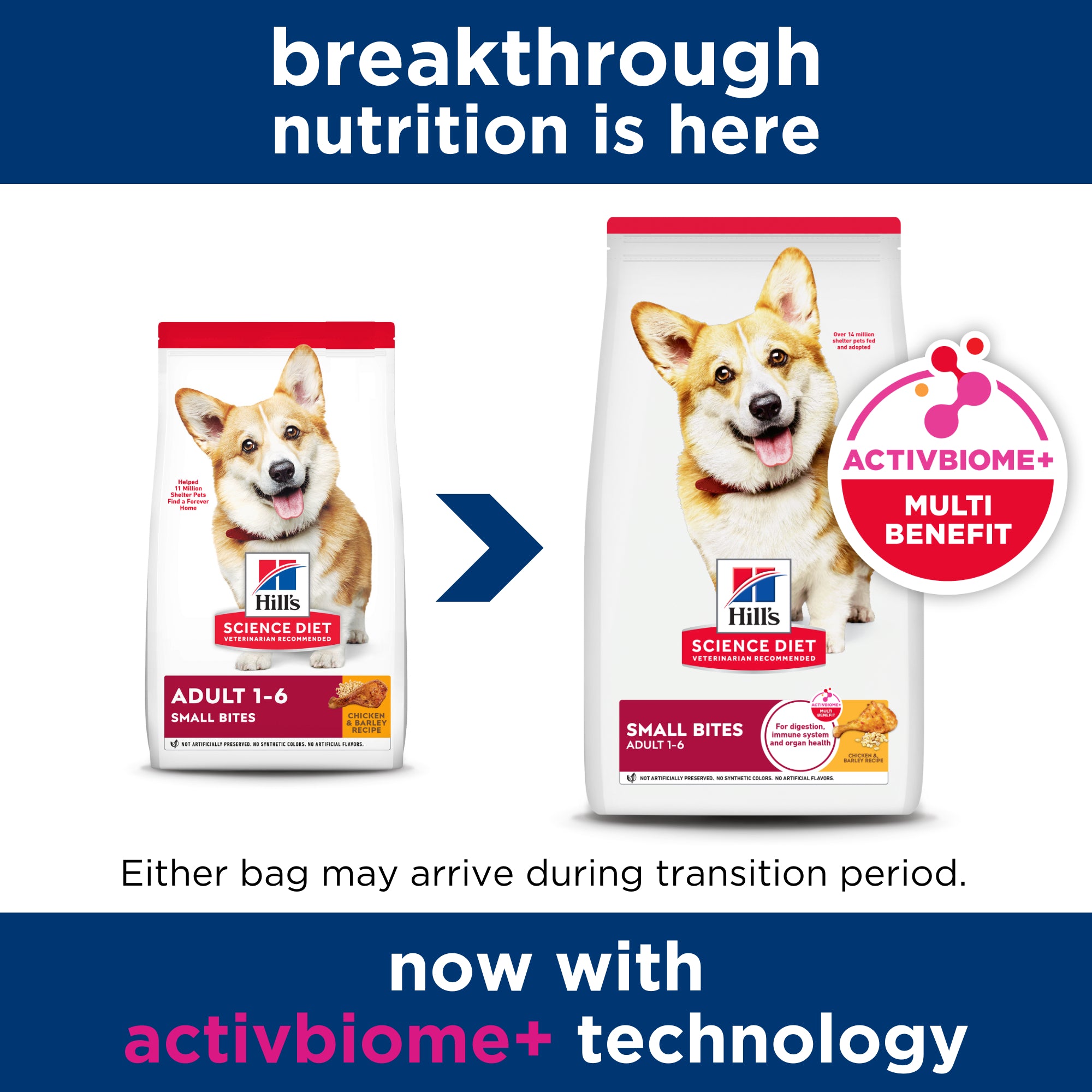 Hill's Science Diet Adult Small Bites Dry Dog Food 2kg