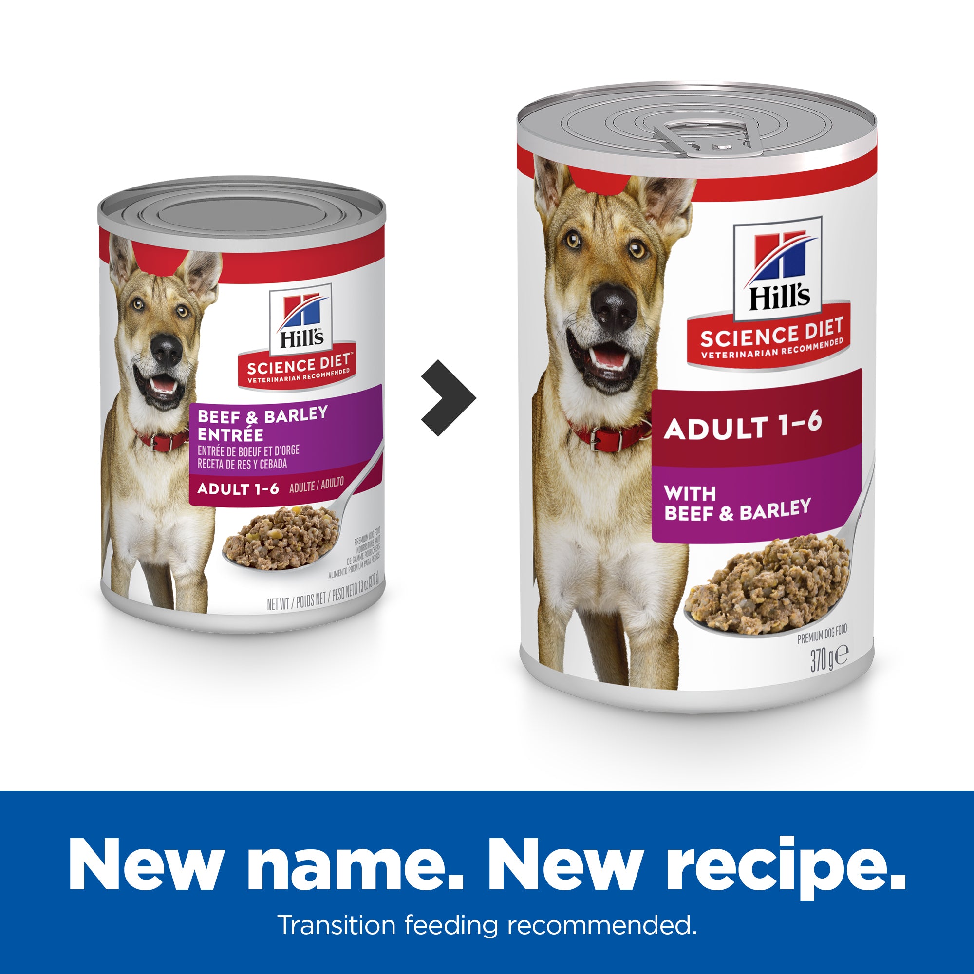 Hill's Science Diet Adult Beef & Barley Canned Dog Food 370g x 12