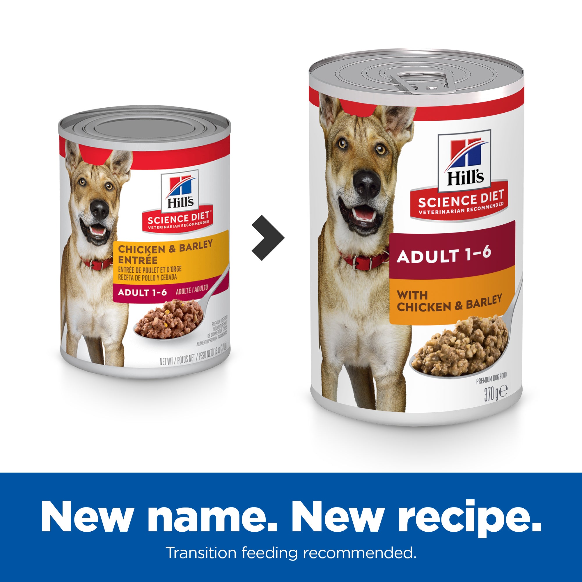 Hill's Science Diet Adult Chicken & Barley Canned Dog Food 370g x 12