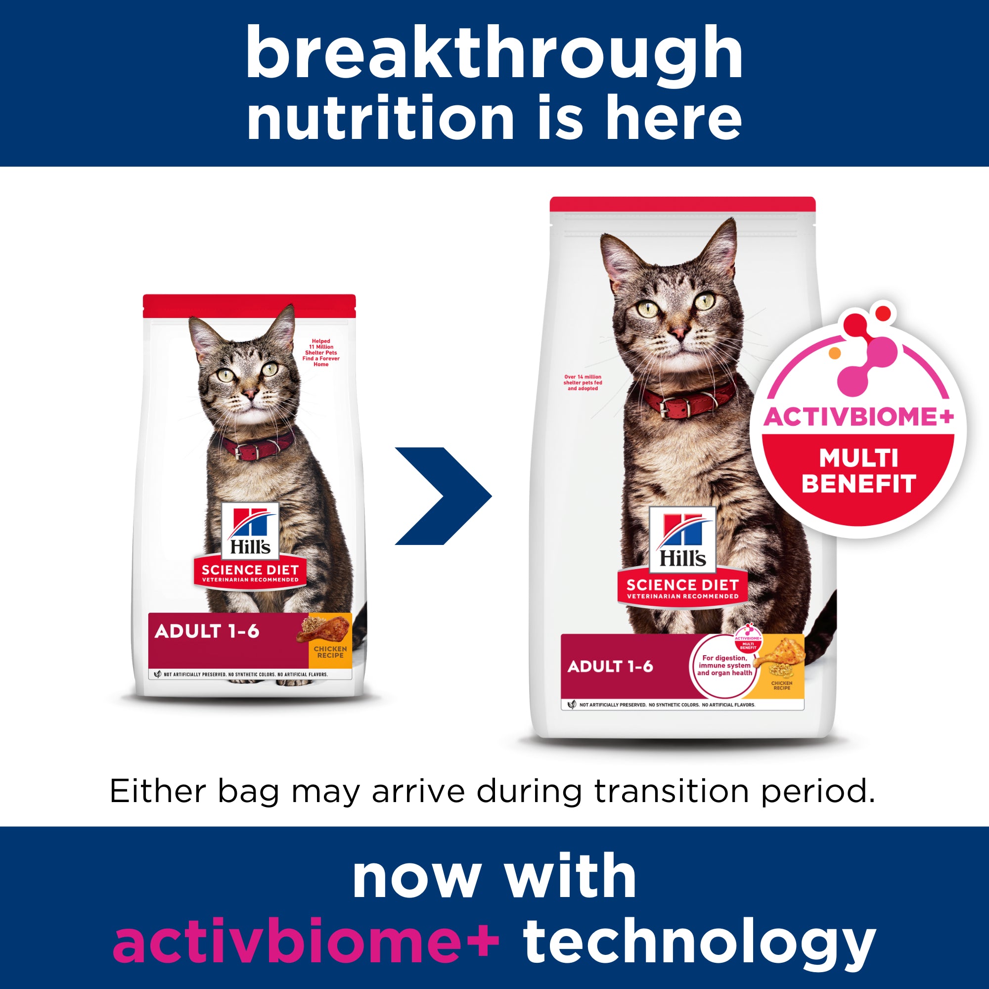 Hill's Science Diet Adult Dry Cat Food