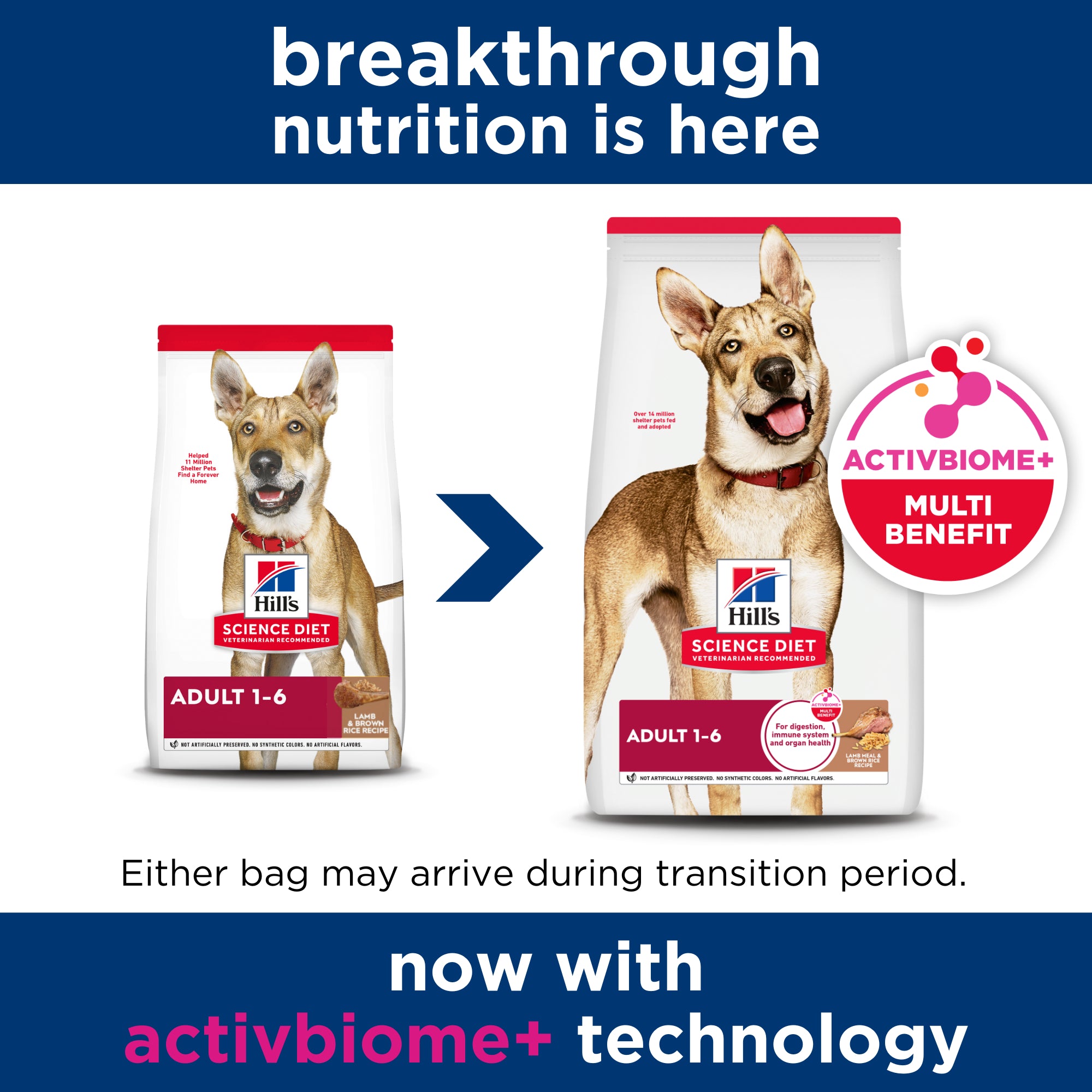 Hill's Science Diet Adult Lamb & Rice Dry Dog Food 14.97kg