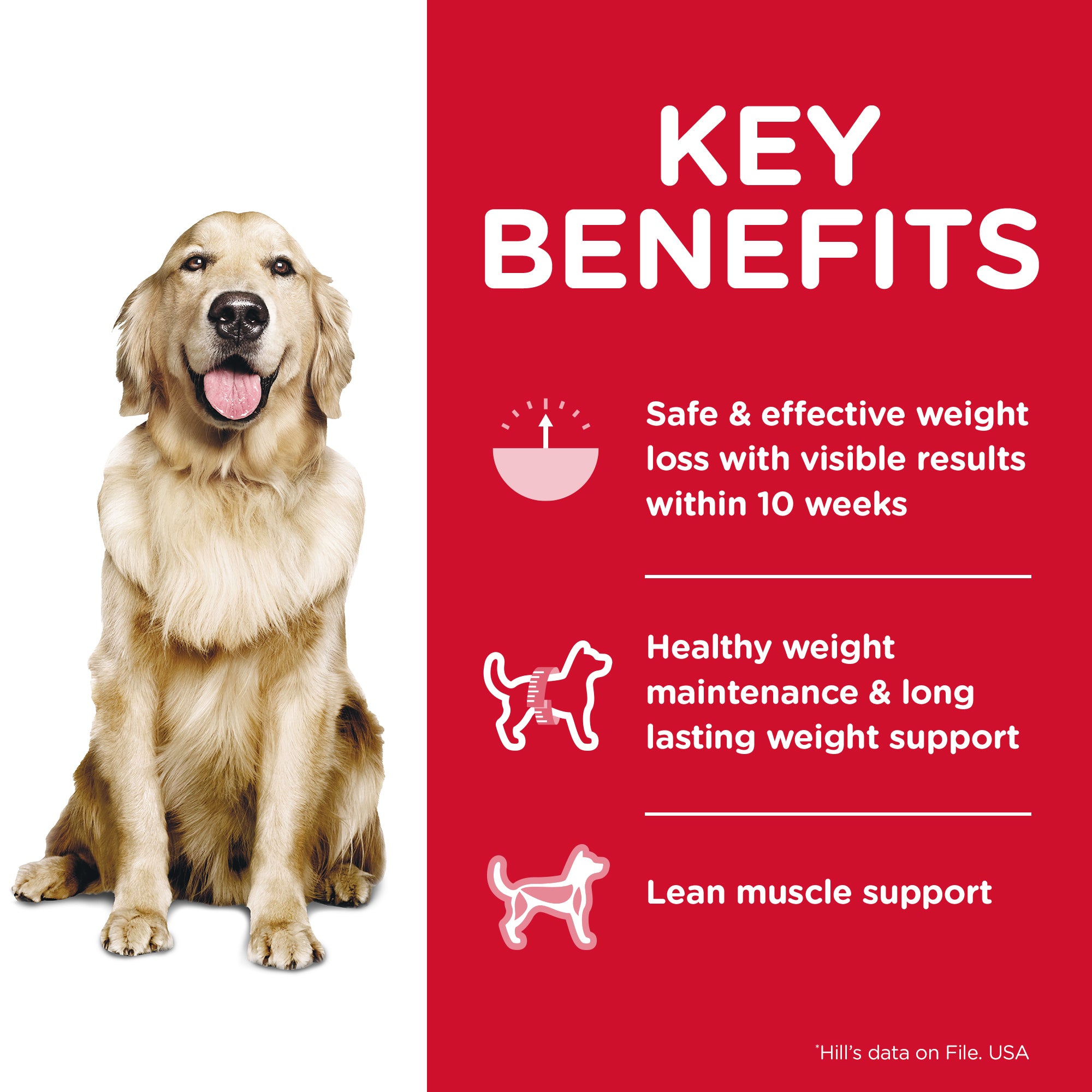 Hill's Science Diet Adult Perfect Weight Dry Dog Food