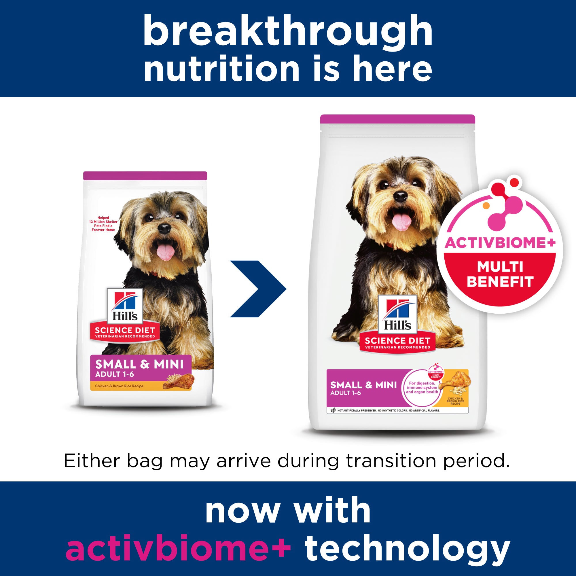 Hill's Science Diet Adult Small and Mini Dry Dog Food