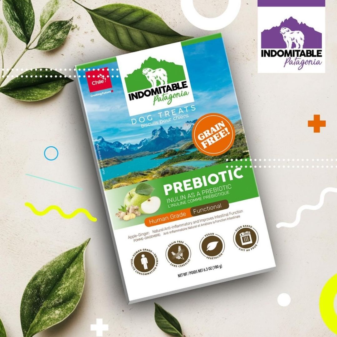 Indomitable Patagonia Prebiotic Blueberry Biscuits Grain Free Dog Treats 180g