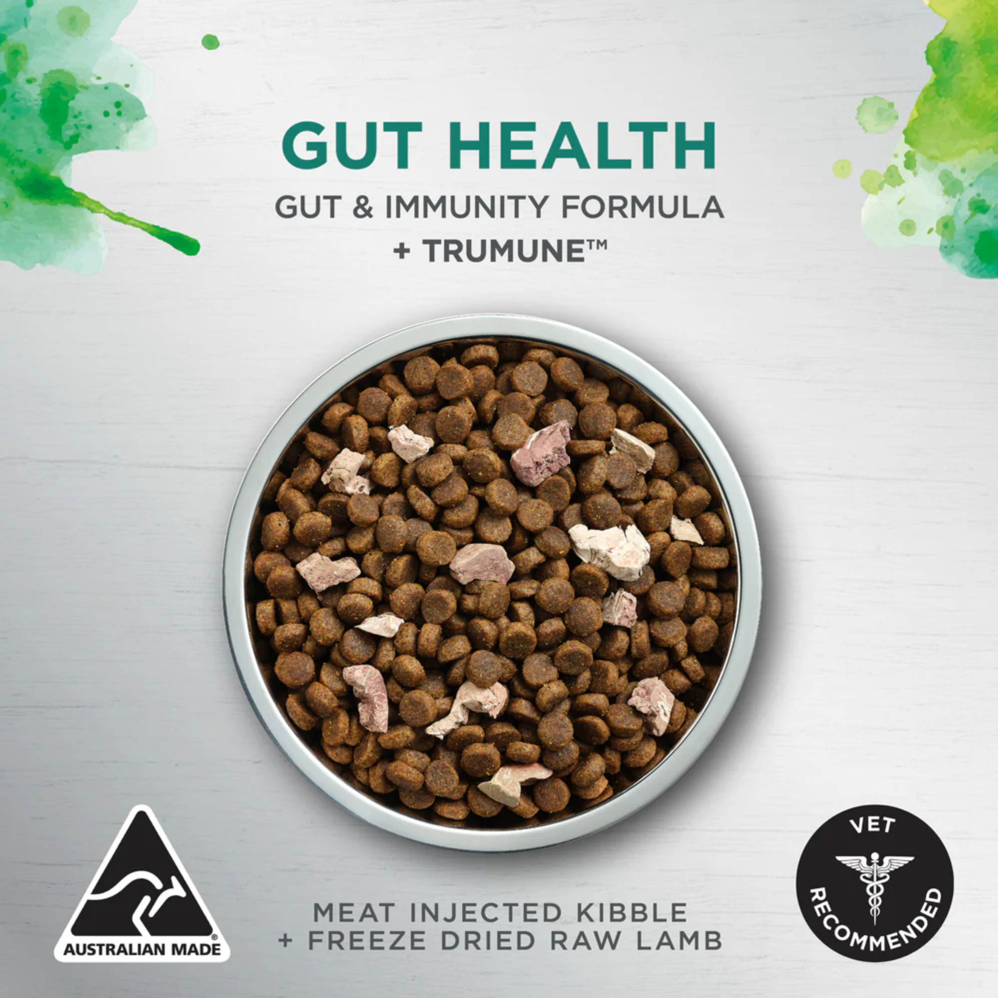 Ivory Coat Raw Health Dog Gut Health Chicken and Freeze Dried Lamb Dry Dog Food
