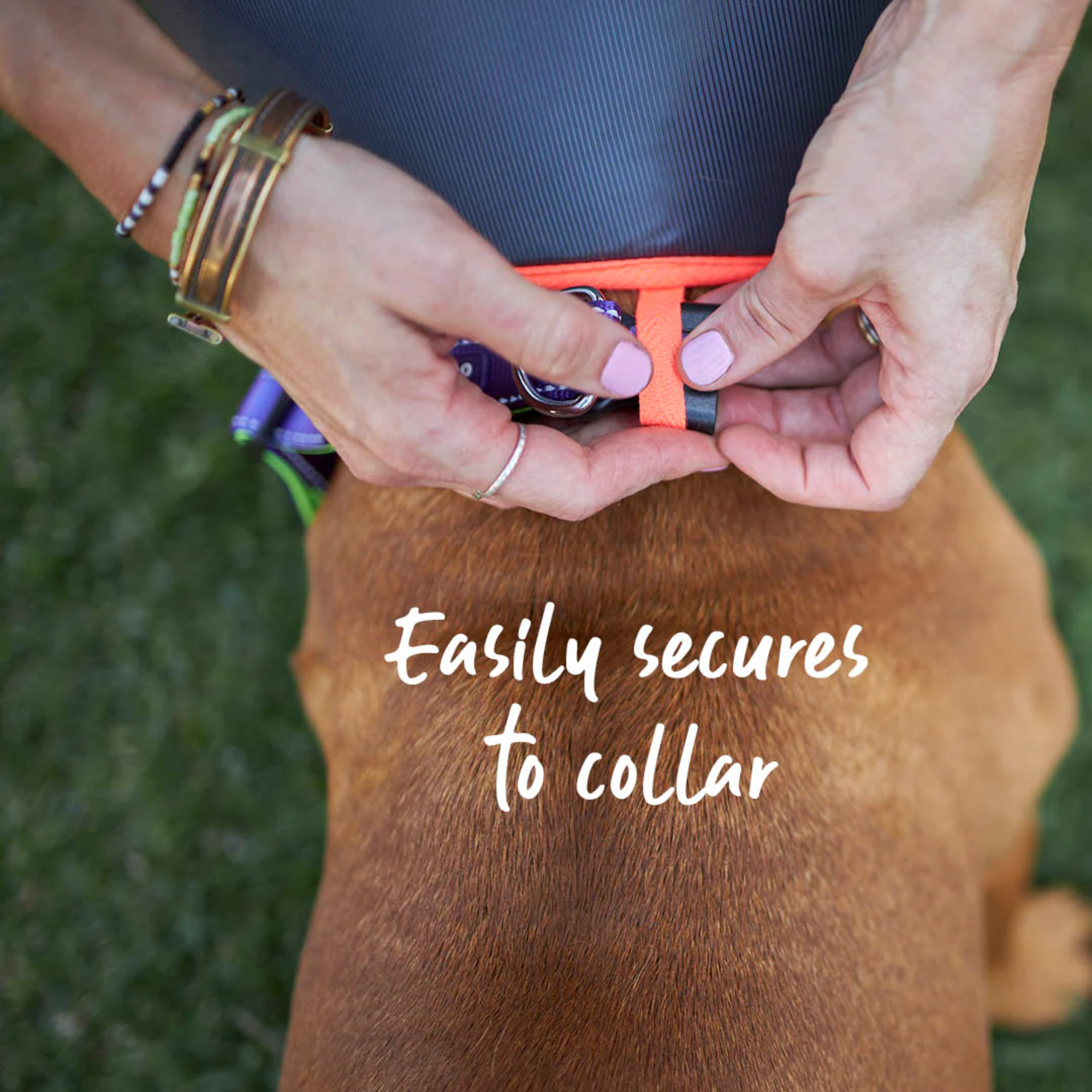 Kazoo Comfy Recovery Collar