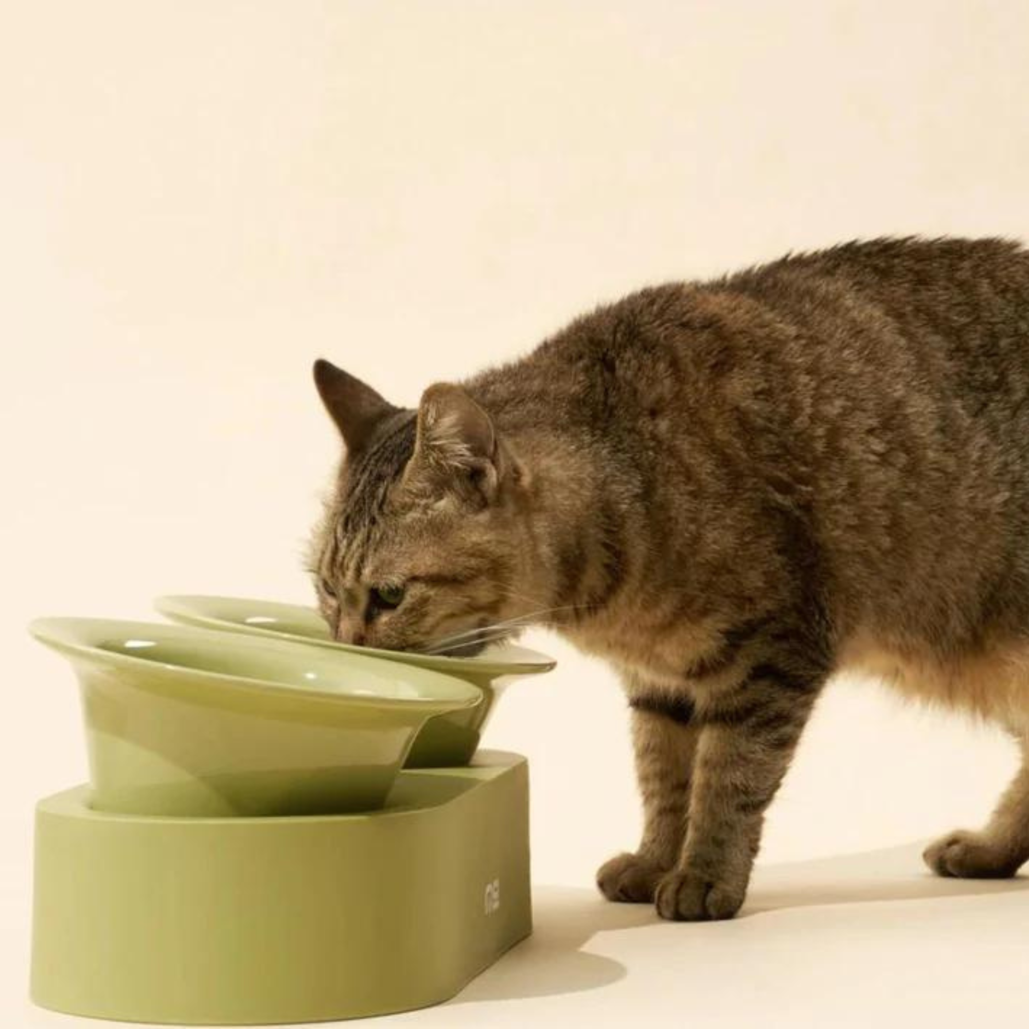 Makesure Jingle 2 in 1 Ceramic Pet Bowl Green