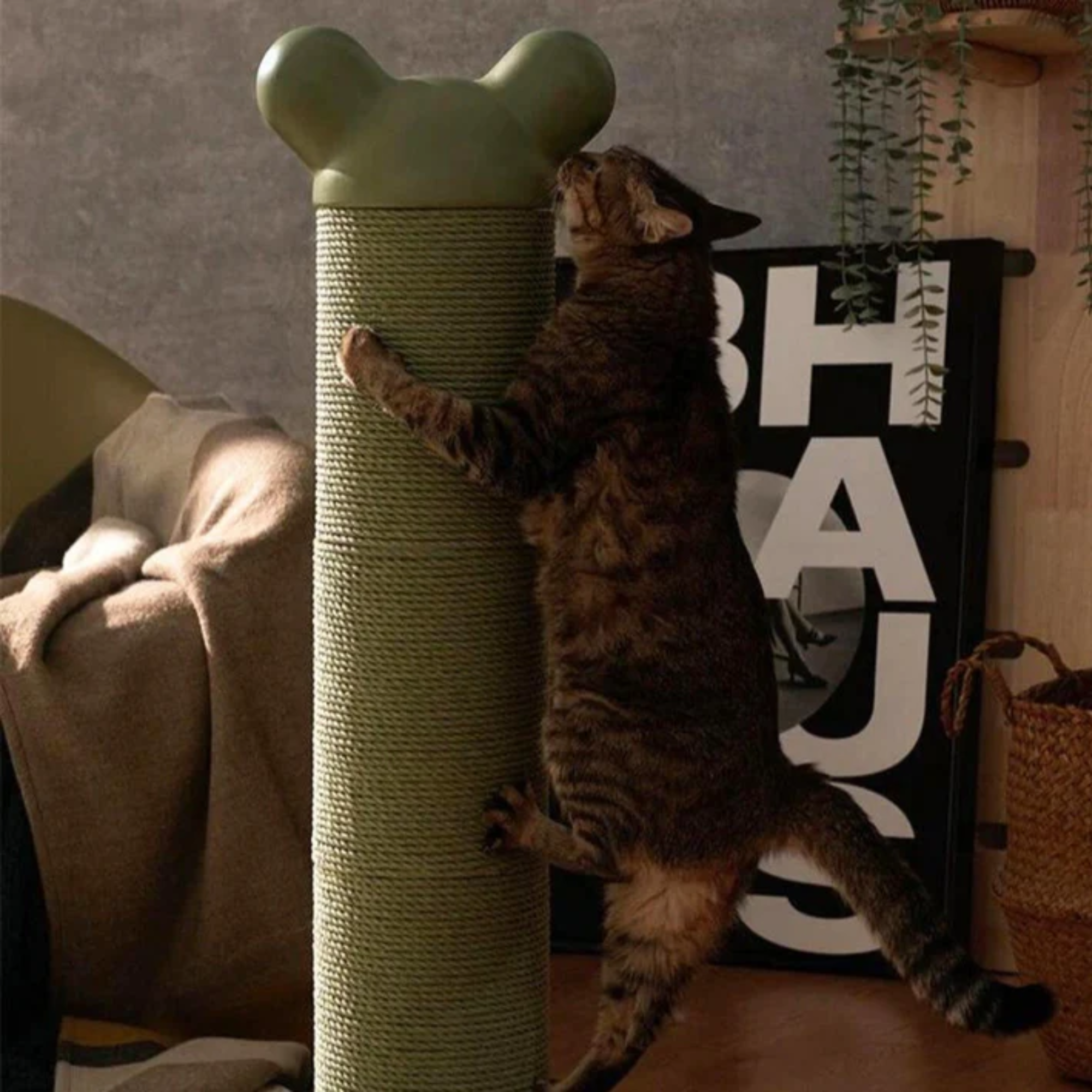 Makesure Nino Cat Scratching Post Moss Green