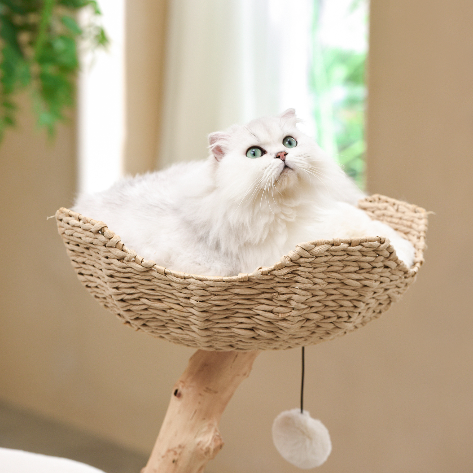 Michu Premium Real Wooden Cat Tree Medium