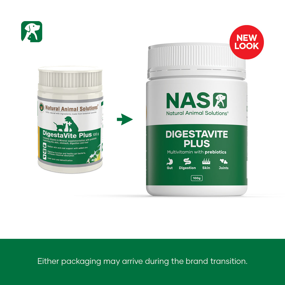 Natural Animal Solutions Digestavite Plus 100g