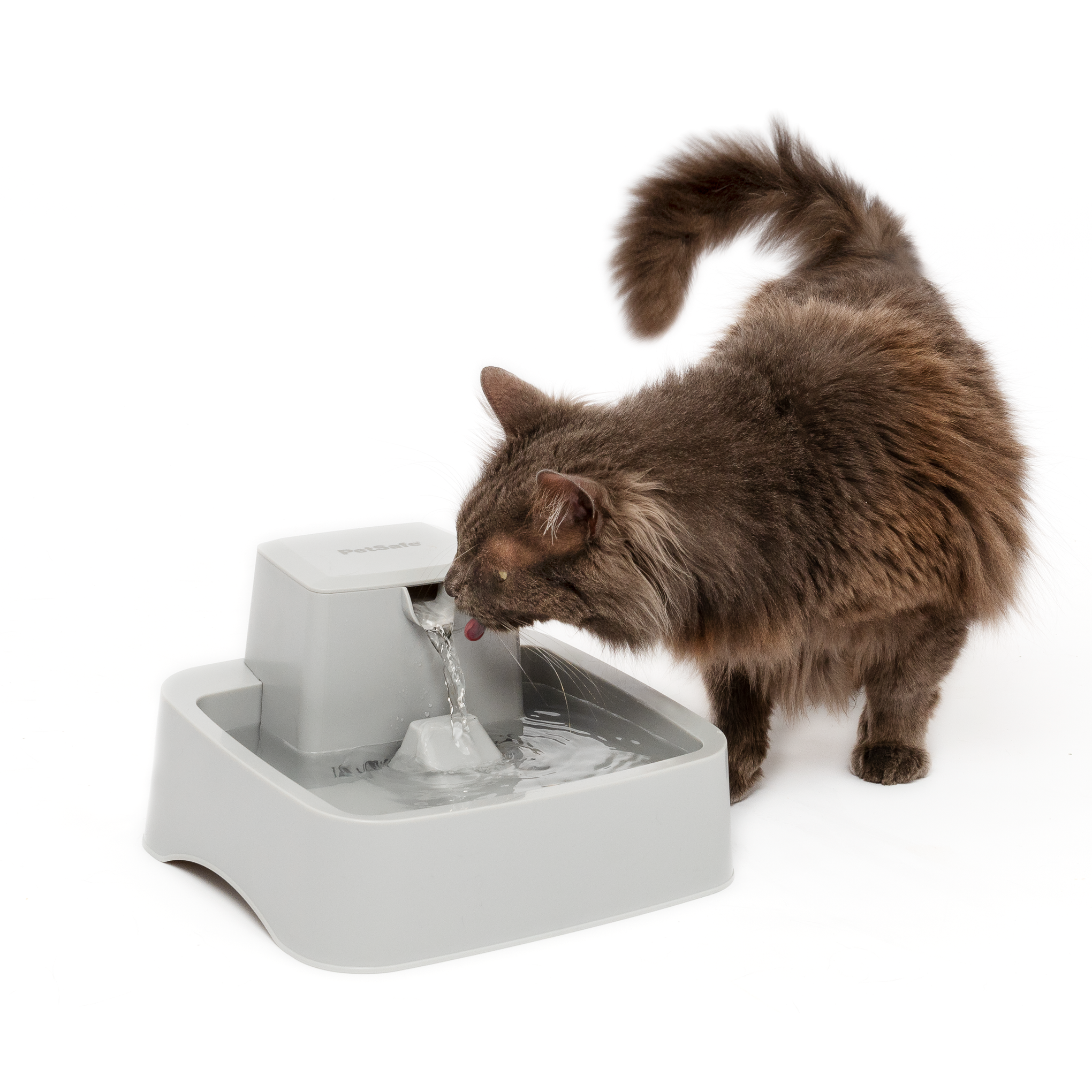 PetSafe DrinkWell Pet Fountain