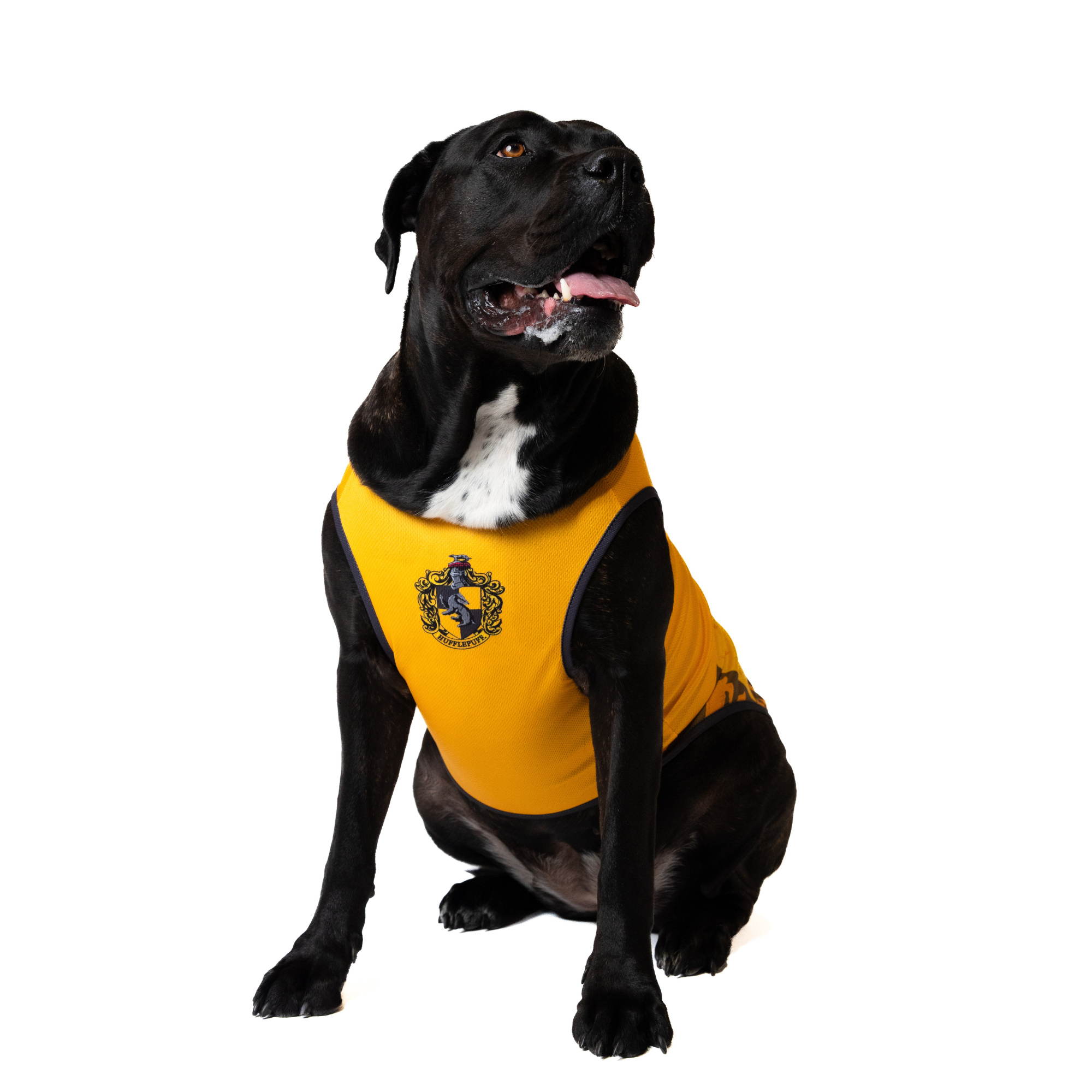 Harry Potter Hufflepuff House Dog Shirt
