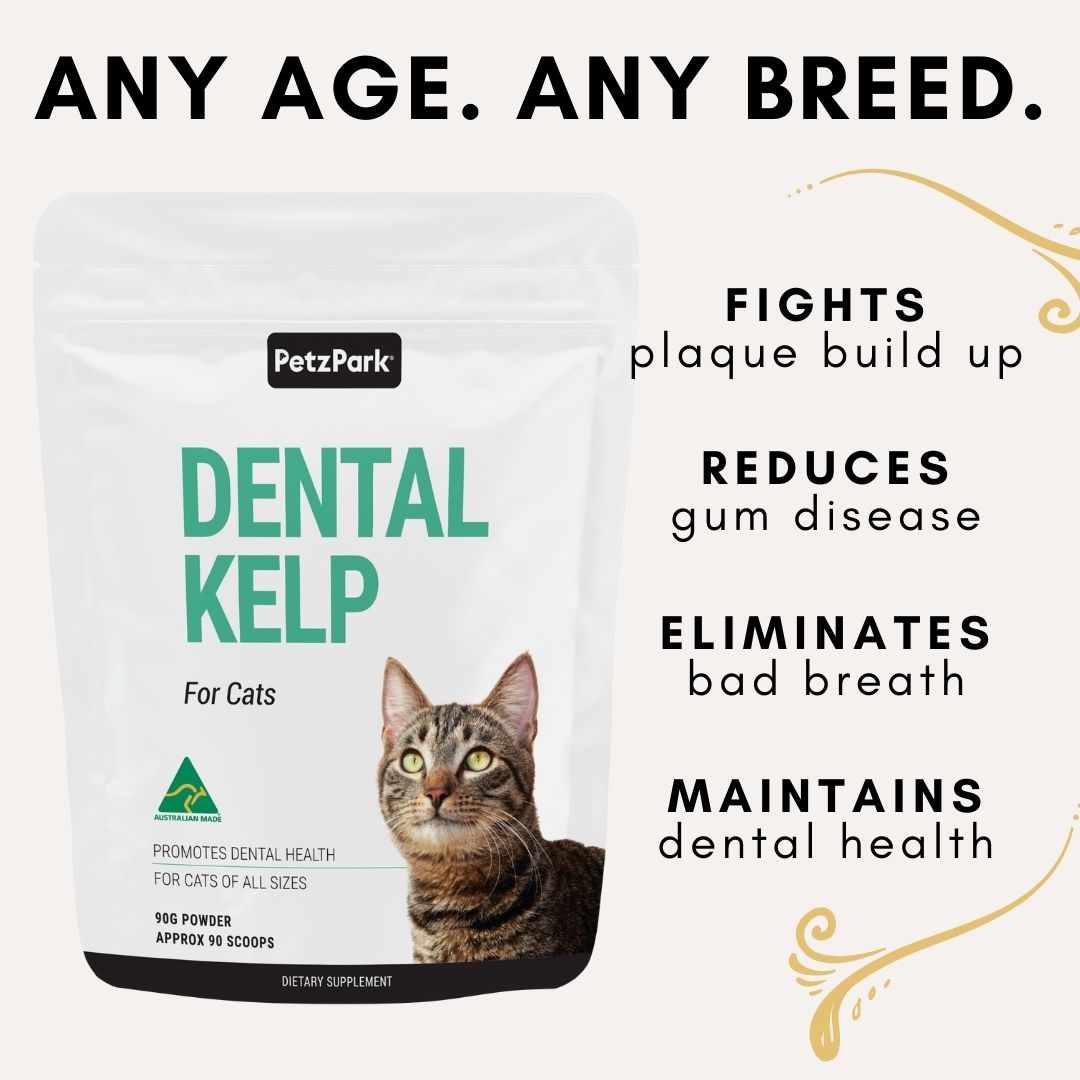 Petz Park Dental Kelp for Cats 90g