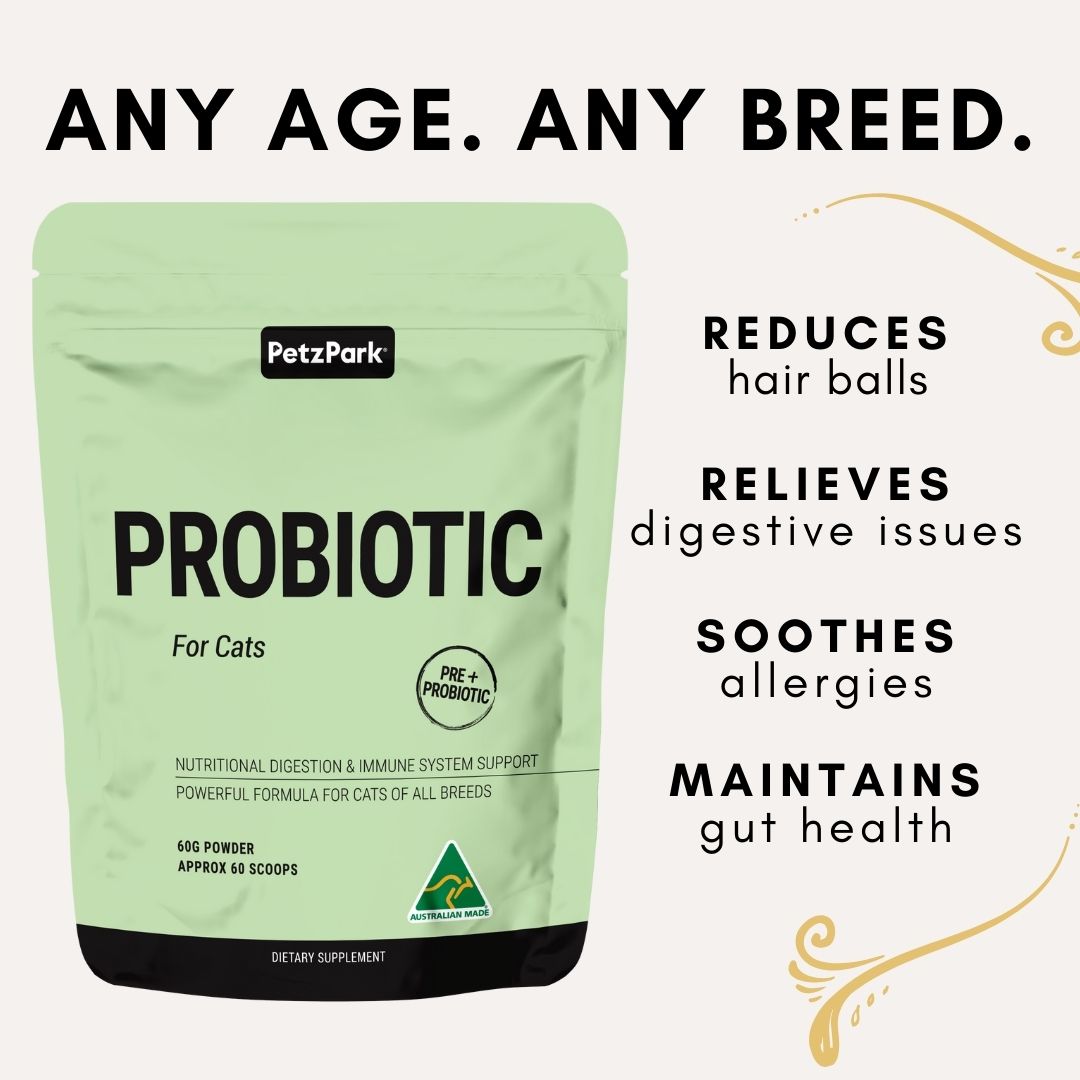 Petz Park Probiotic for Cats 60g x 2