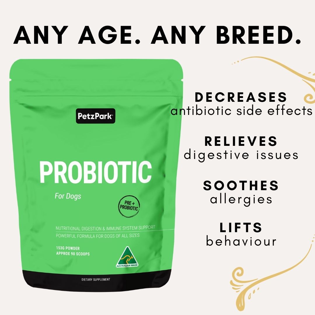 Petz Park Probiotic for Dogs  90 Scoops 153g x 2