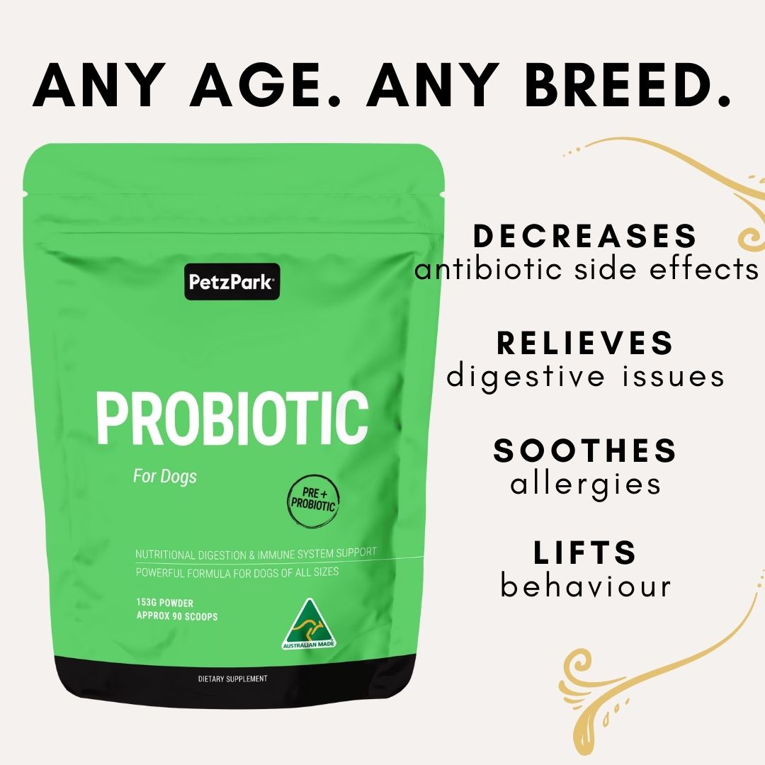 Petz Park Probiotic for Dogs