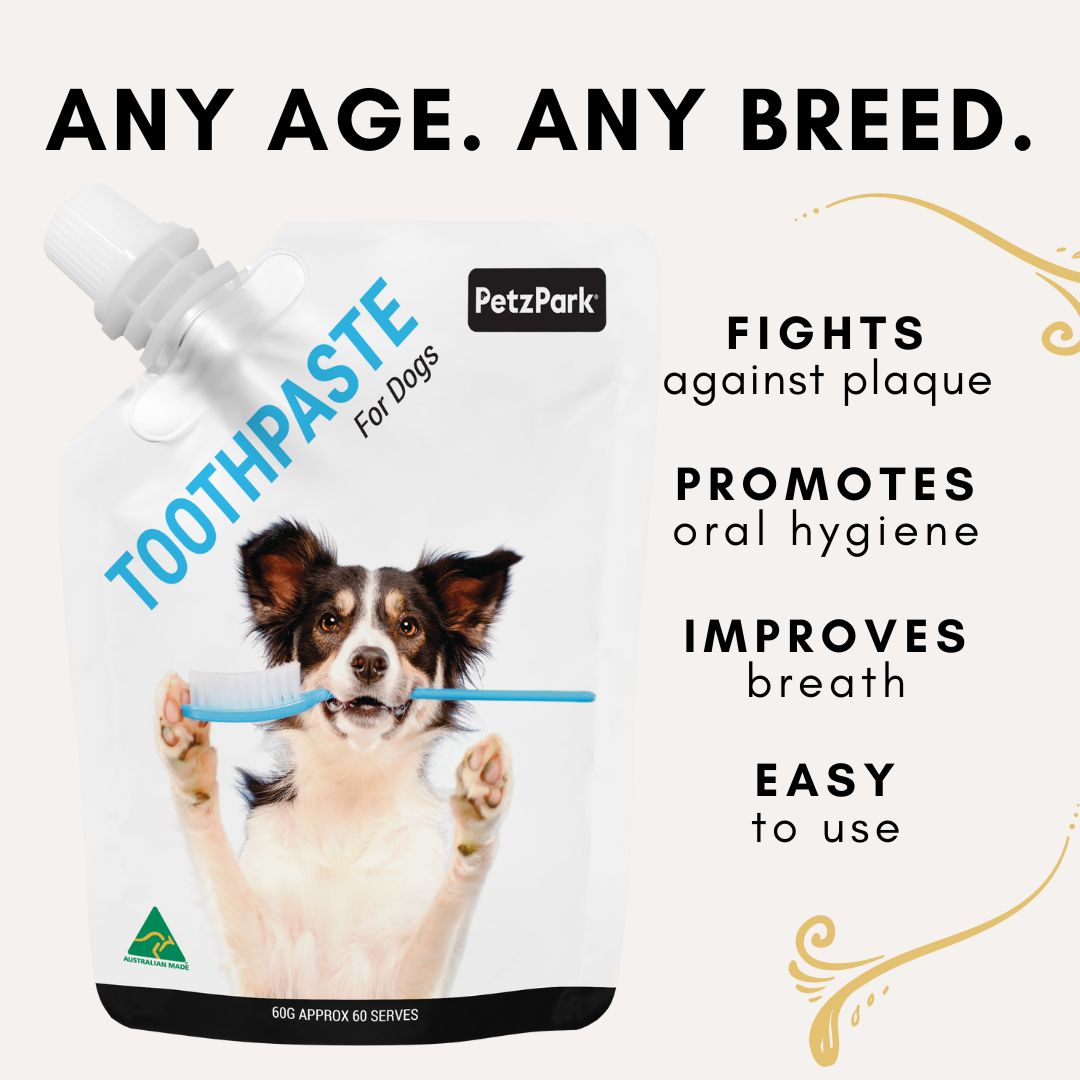 Do dogs need toothpaste best sale