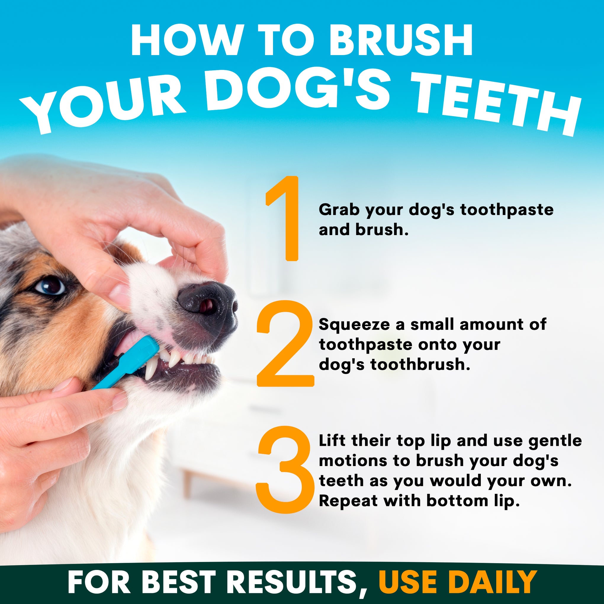 Petz Park Toothpaste for Dogs 60g