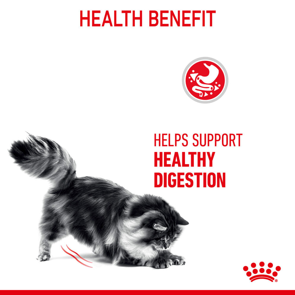 Royal Canin Digestive Care Adult Dry Cat Food 4kg