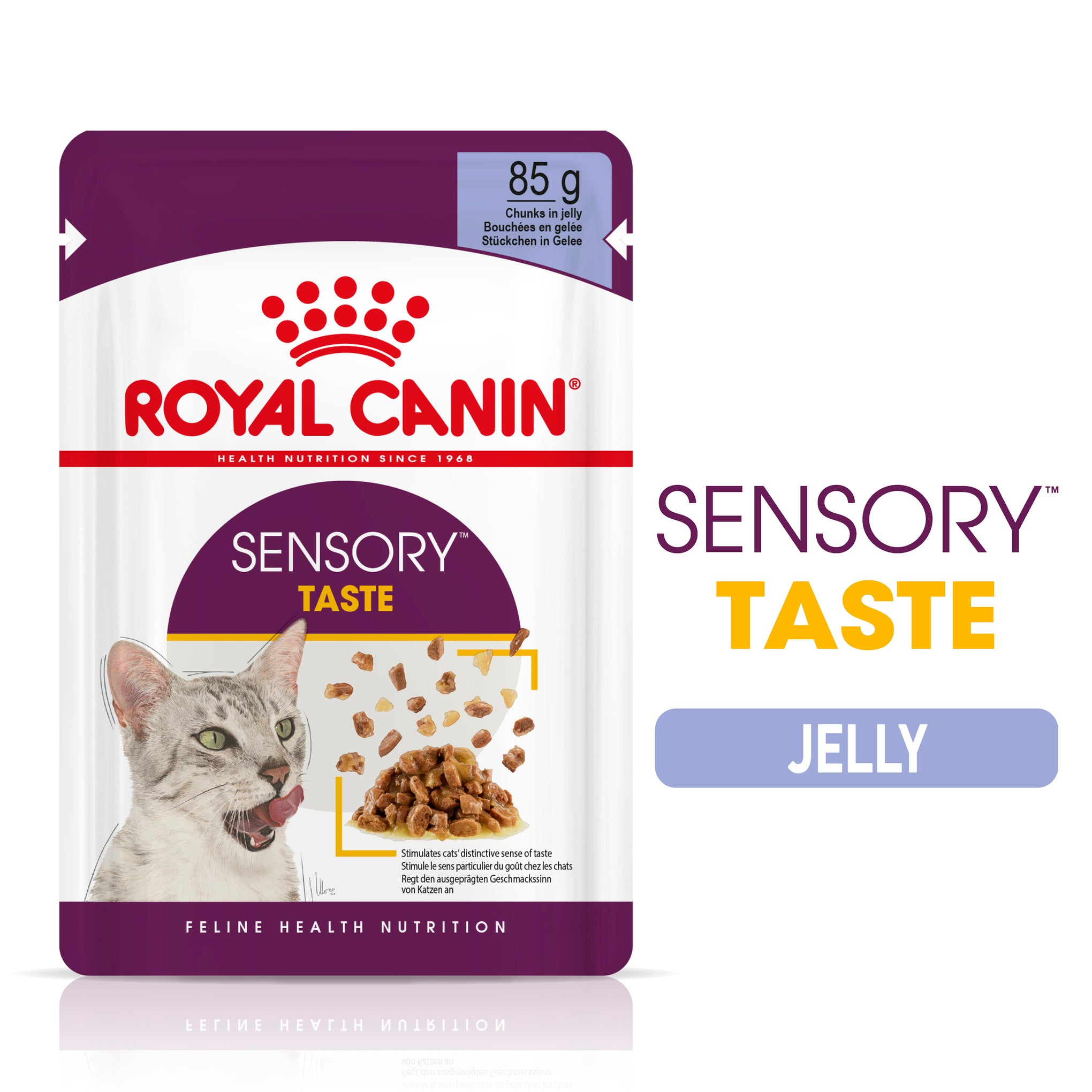 Royal Canin Sensory Taste Jelly Adult Wet Cat Food Pouches 85g x 12
