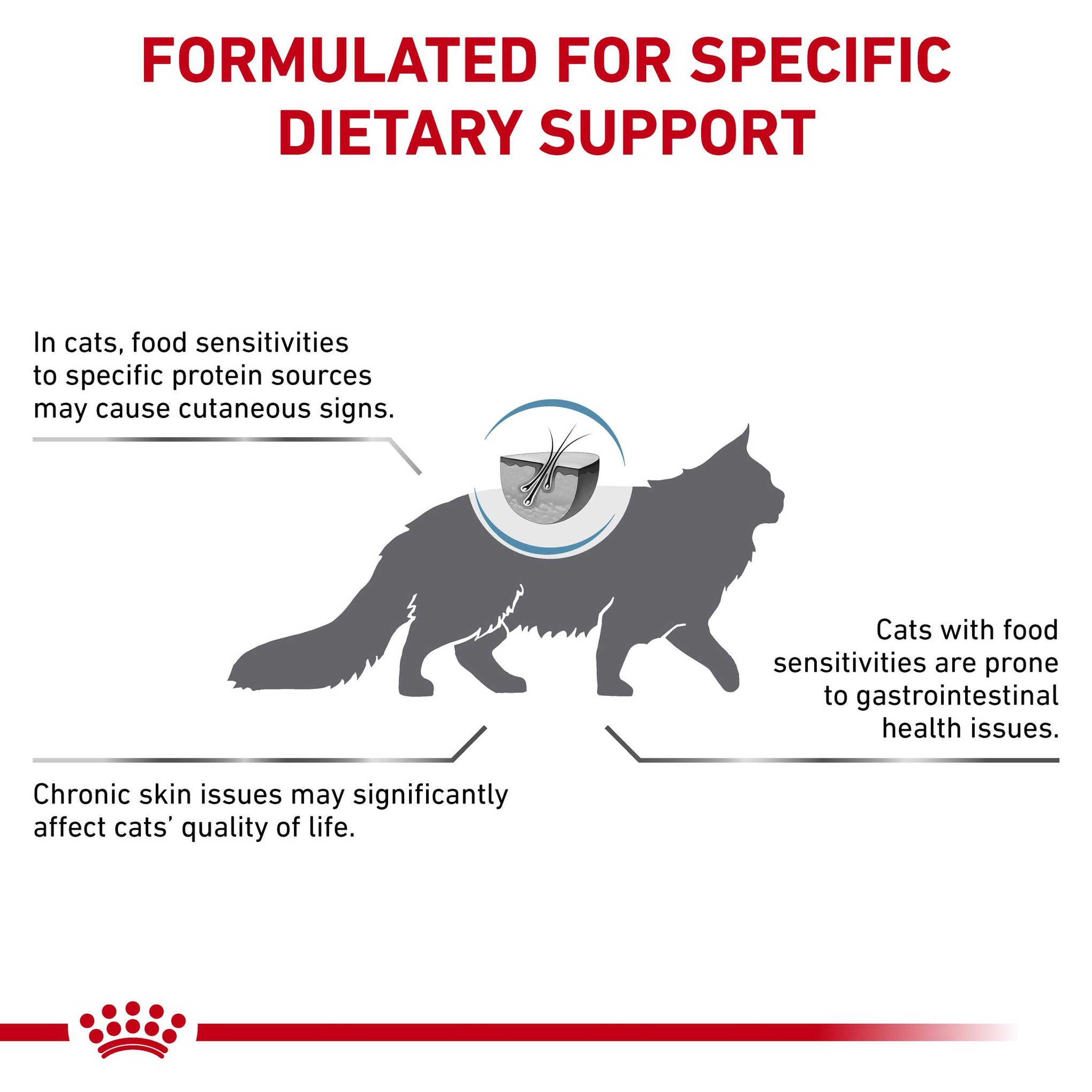 Royal Canin Veterinary Diet Anallergenic Adult Dry Cat Food