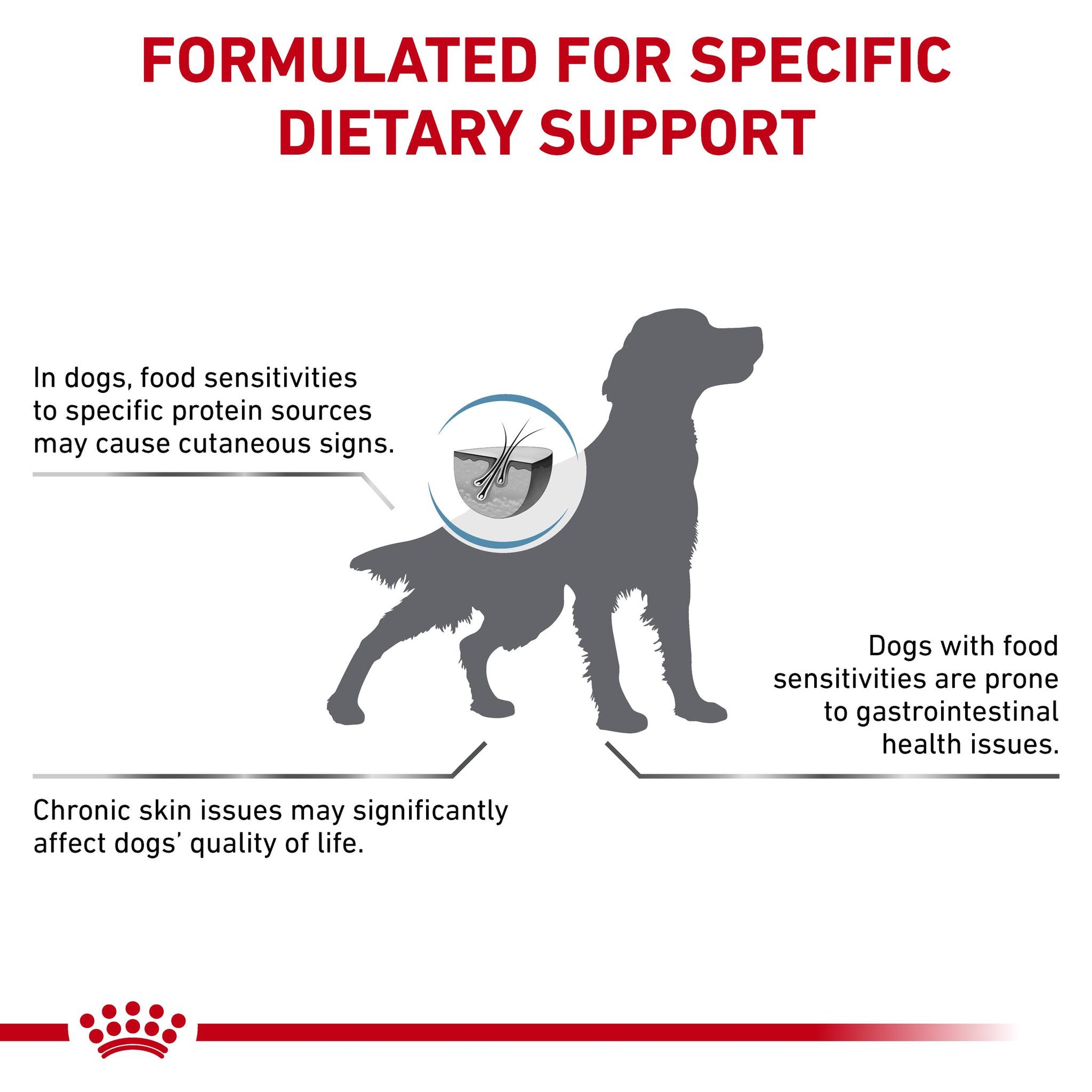 Royal Canin Veterinary Diet Anallergenic Adult Dry Dog Food