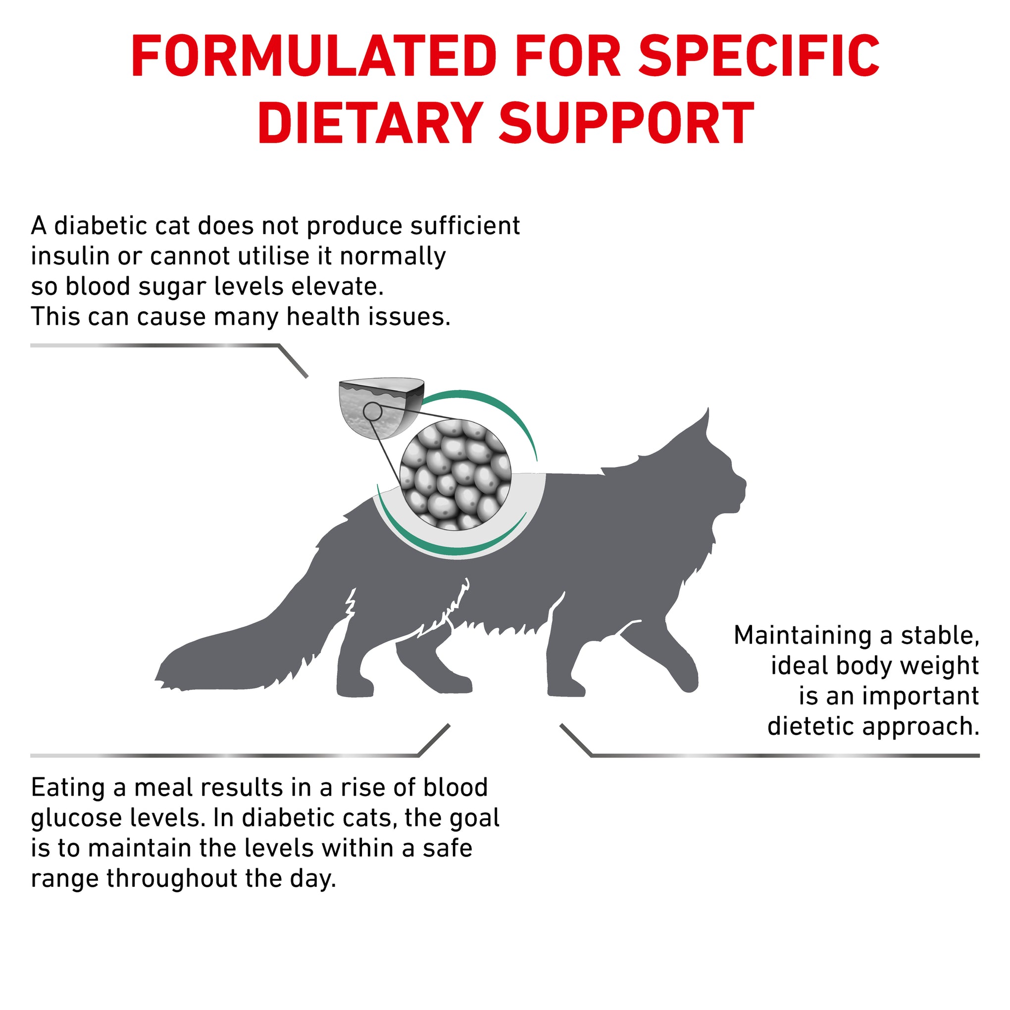 Royal Canin Veterinary Diet Diabetic Adult Dry Cat Food
