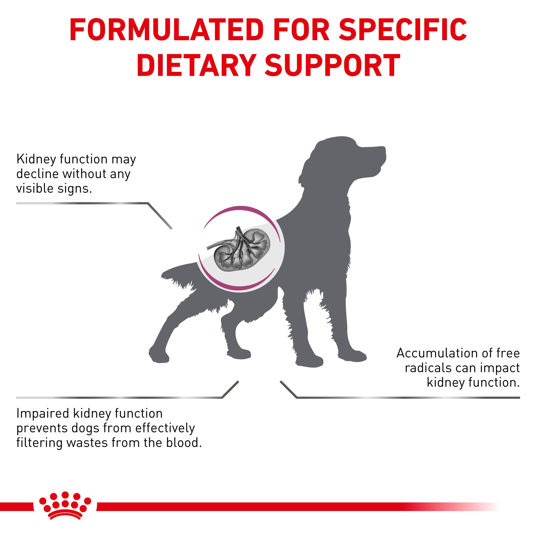 Royal Canin Veterinary Diet Early Renal Adult Dry Dog Food