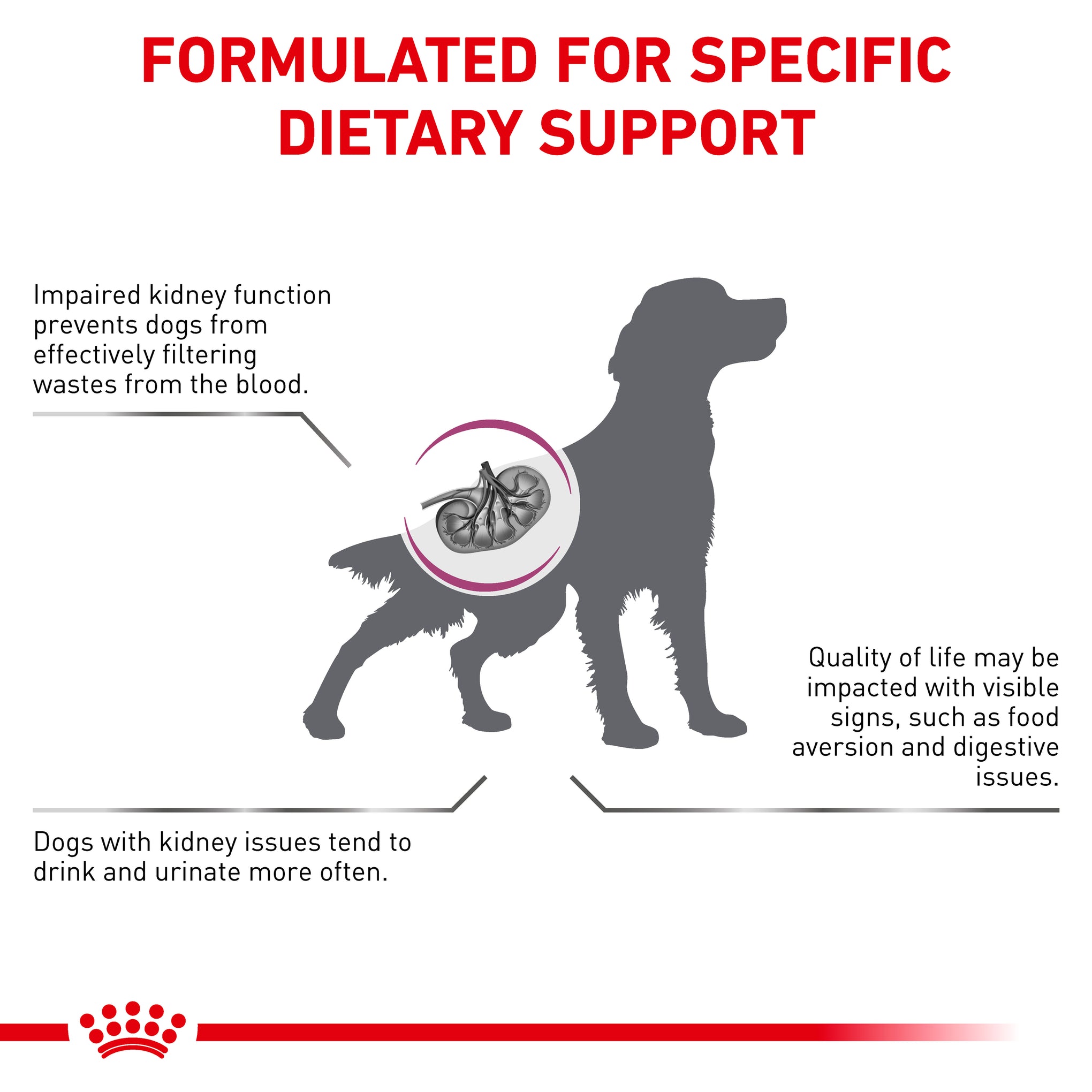 Royal Canin Veterinary Diet Renal Adult Dry Dog Food
