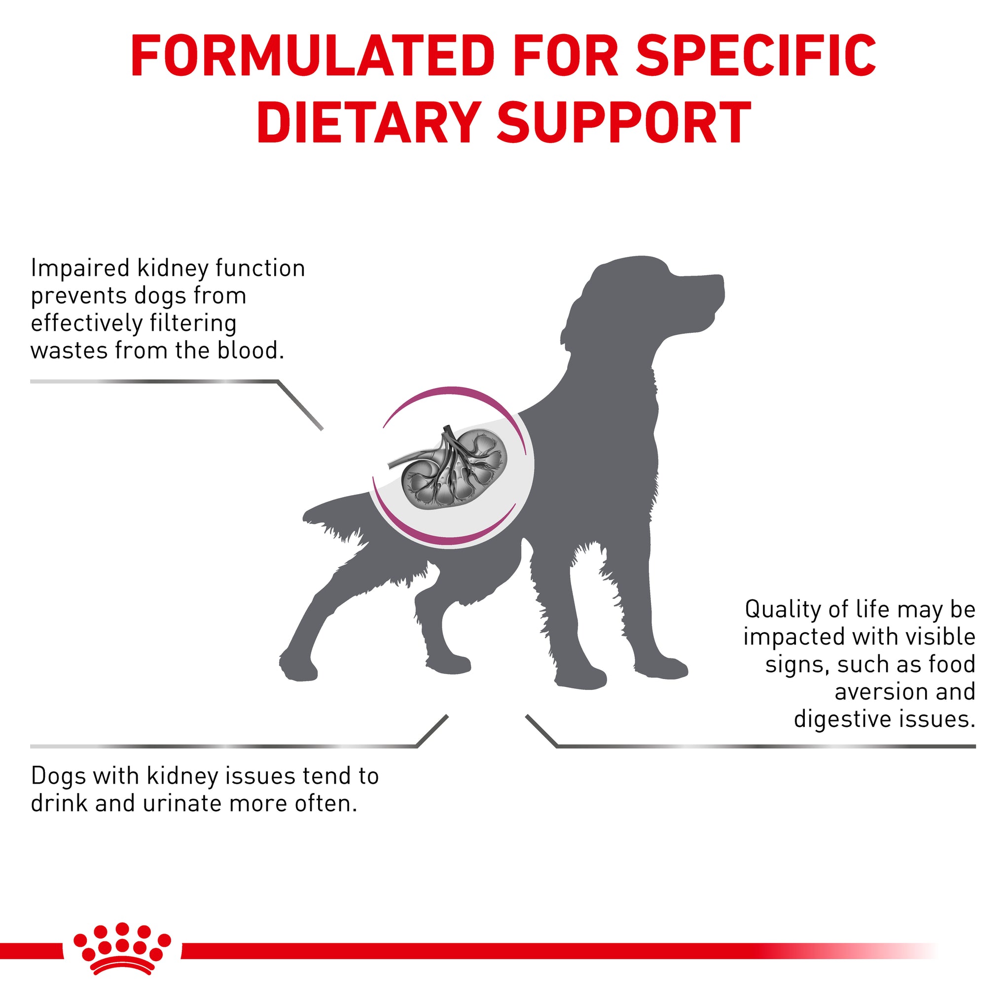 Royal Canin Veterinary Diet Renal Select Adult Dry Dog Food 2kg