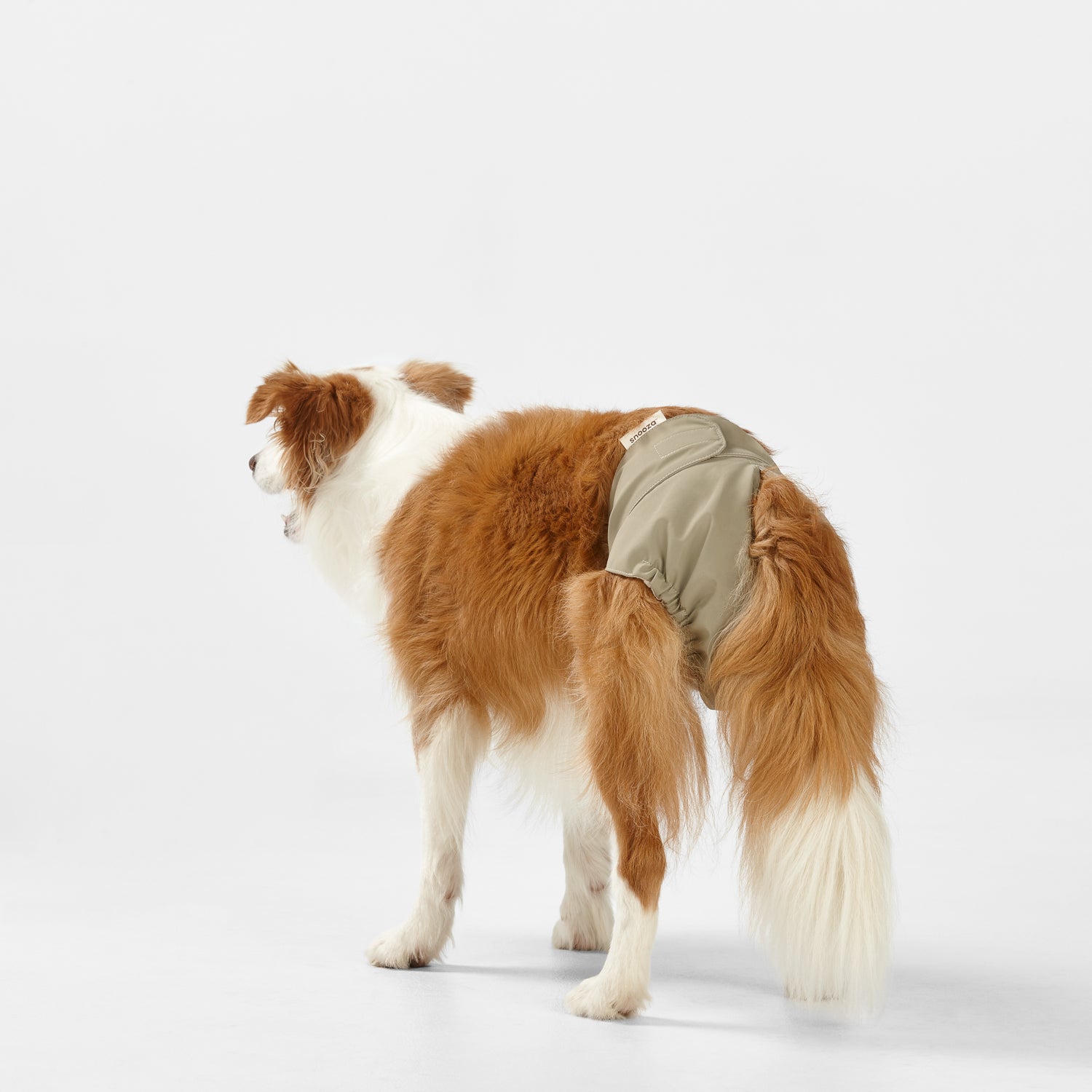 Snooza Washable Nappy Pant for Female Dogs 2 Pack