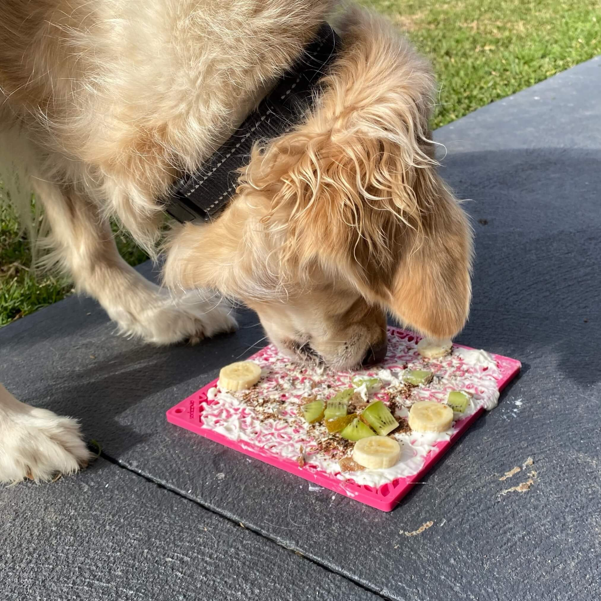 SodaPup Flower Power eMat Dog Lick Mat Pink