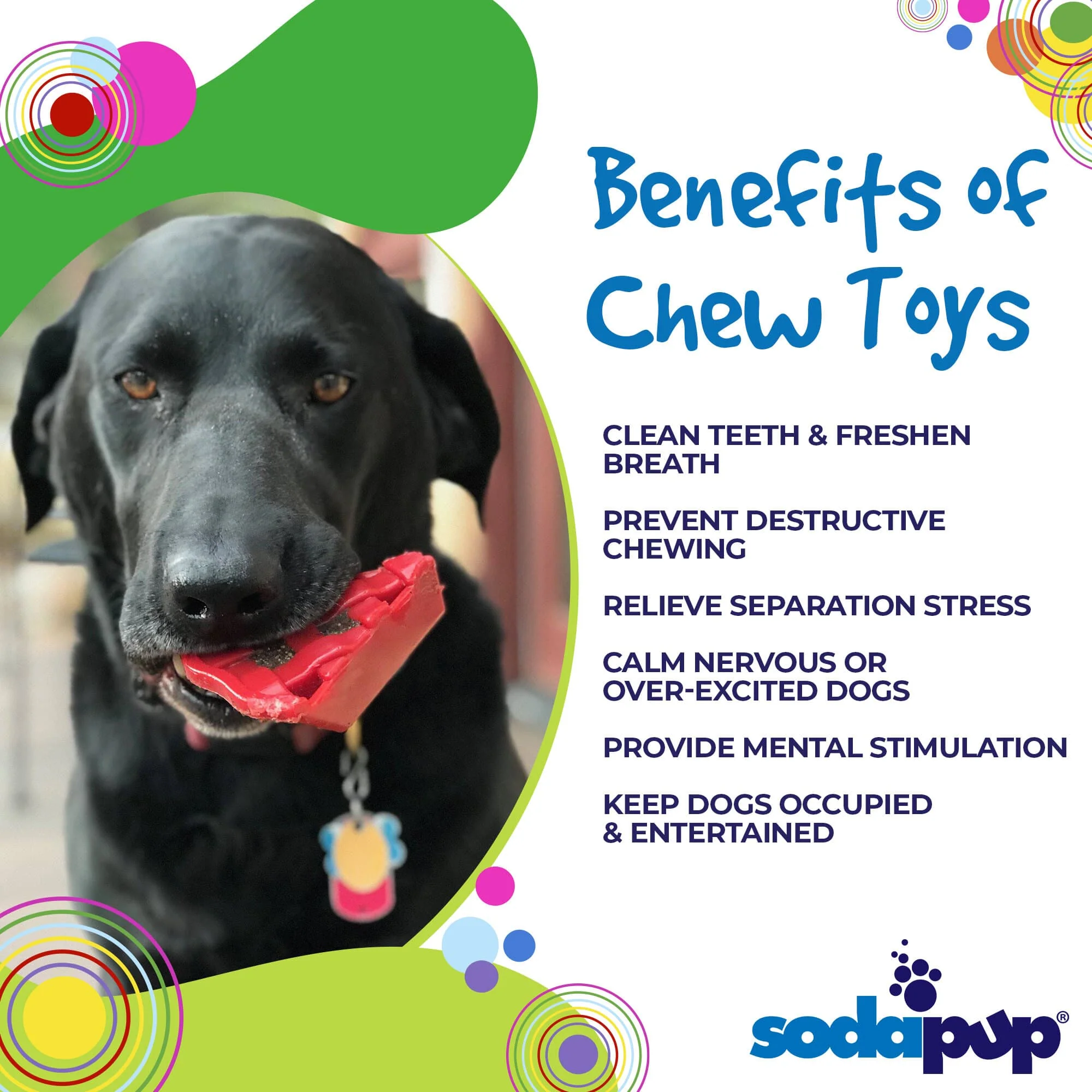 SodaPup Nylon Cherry Pie Dog Toy