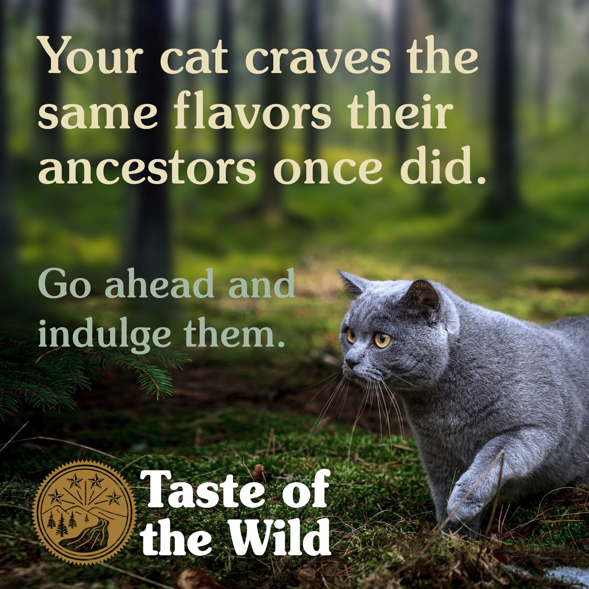 Taste of the Wild Lowland Creek Quail & Duck Dry Cat Food 6.6kg