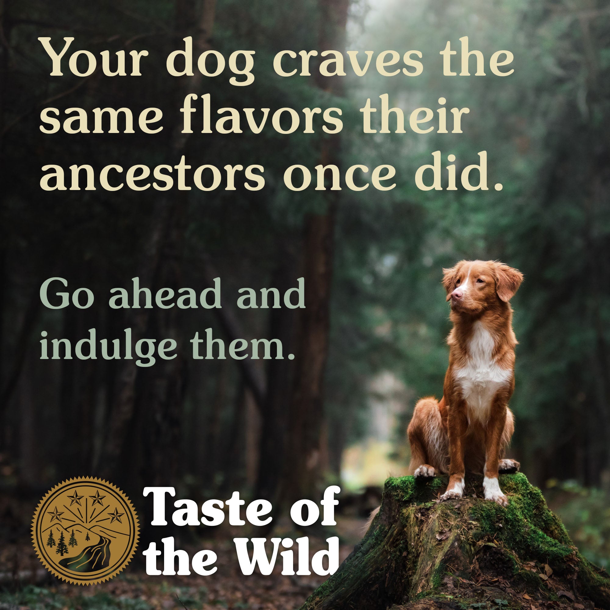 Taste of the Wild Pine Forest Dry Dog Food 12.2kg