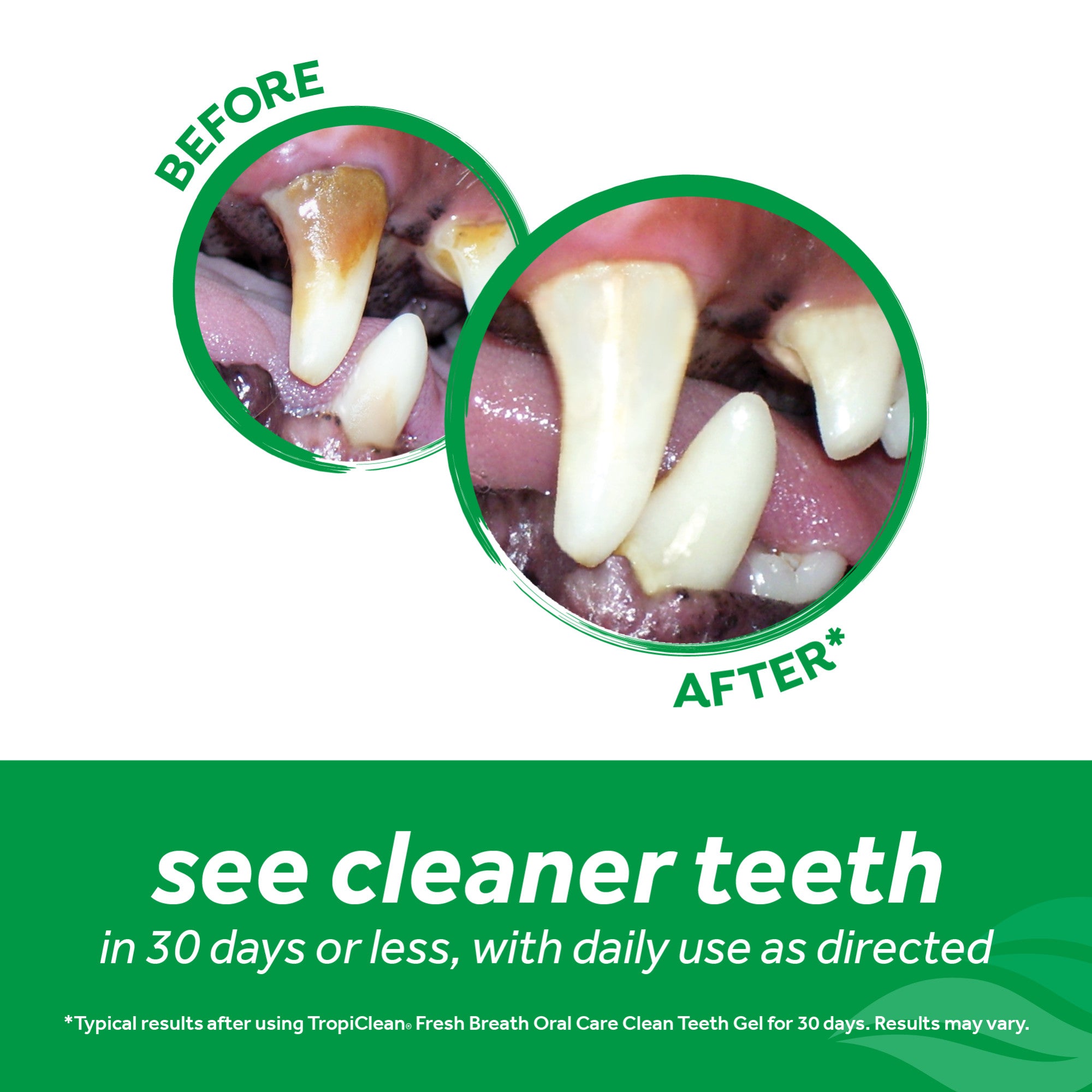 TropiClean Fresh Breath Oral Care Clean Teeth Gel 59ml