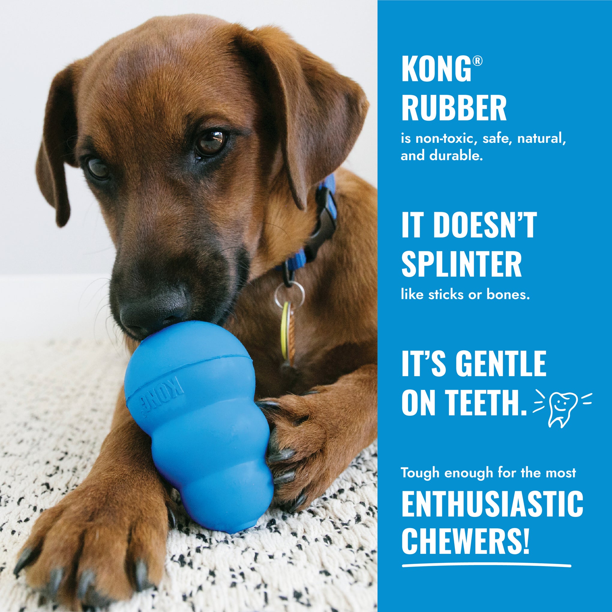 KONG Puppy Tires Dog Toy